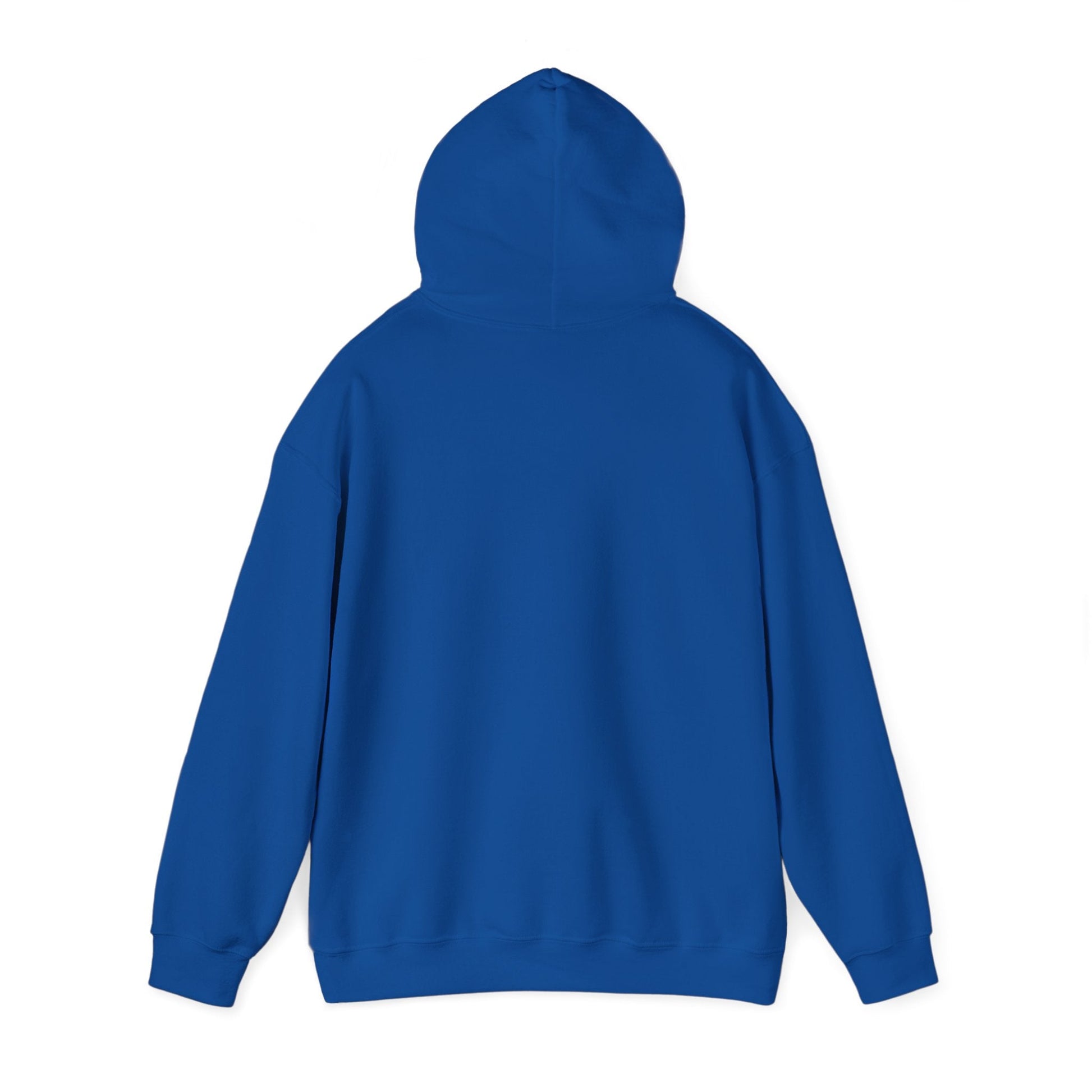 Plain Hoodie Printify