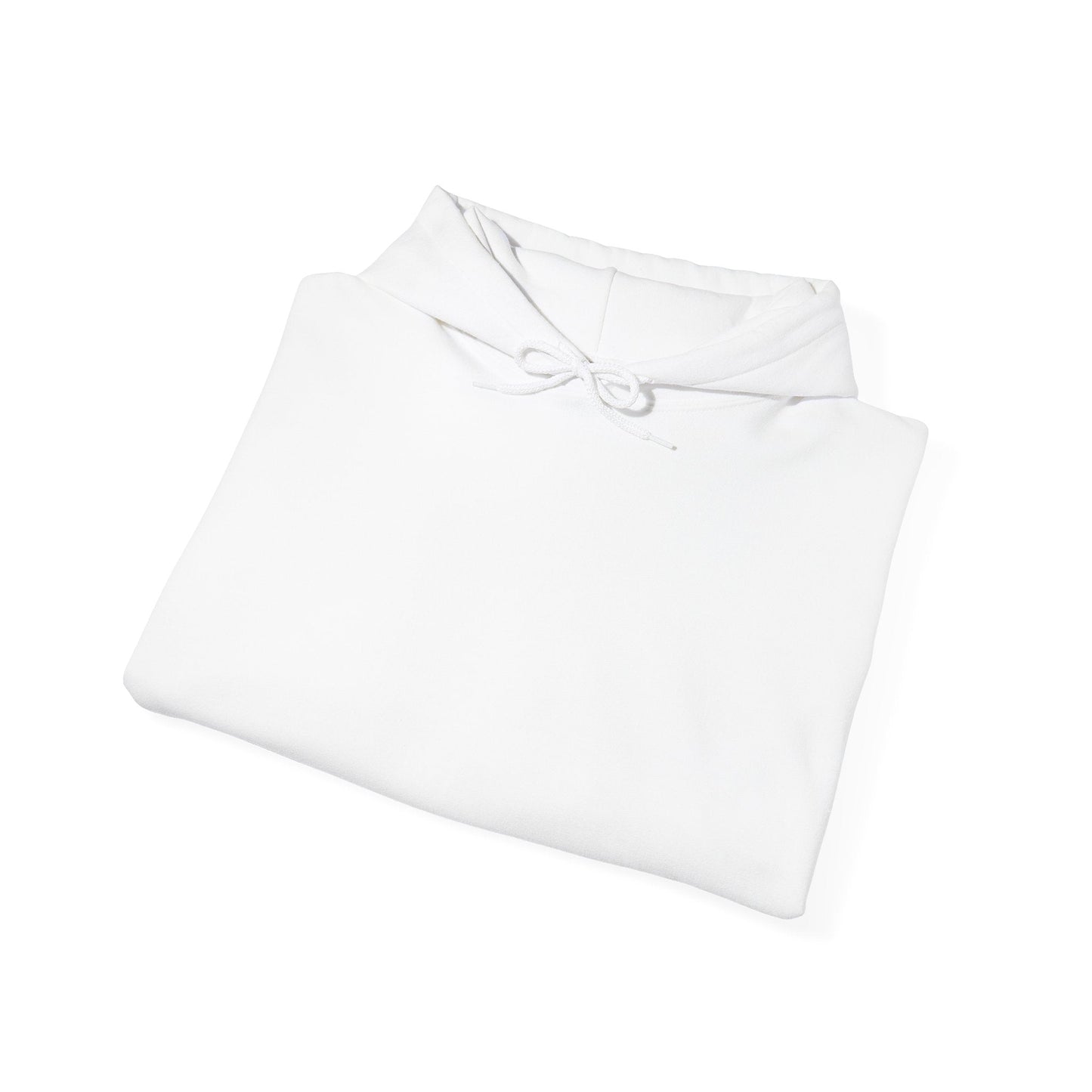 Plain Hoodie Printify