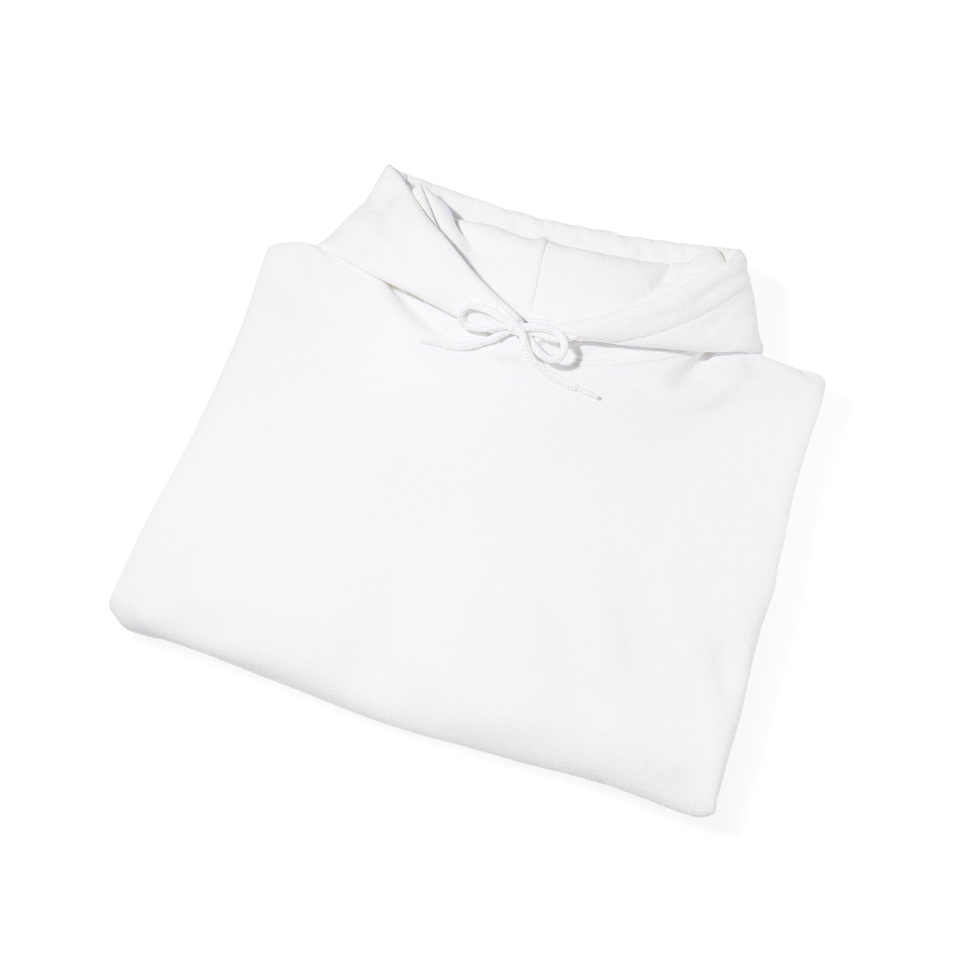 Plain Hoodie Printify