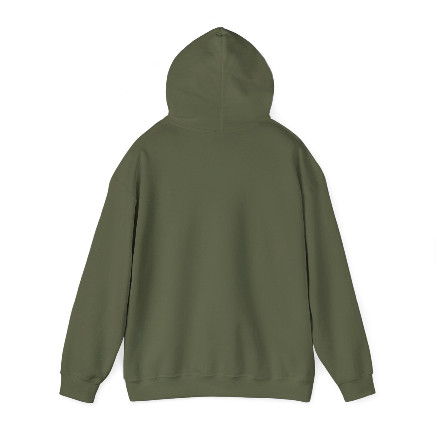 Plain Hoodie Printify