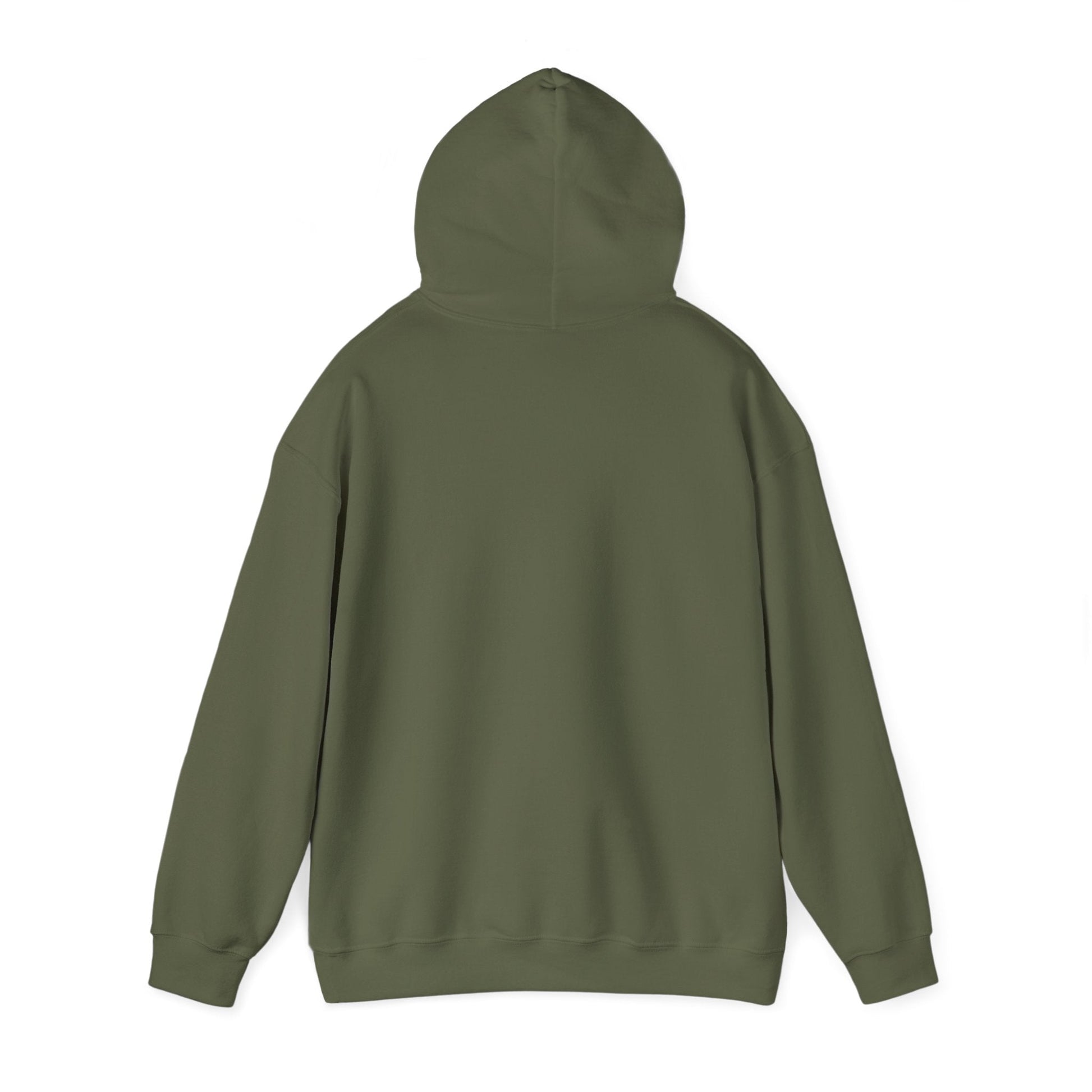 Plain Hoodie Printify