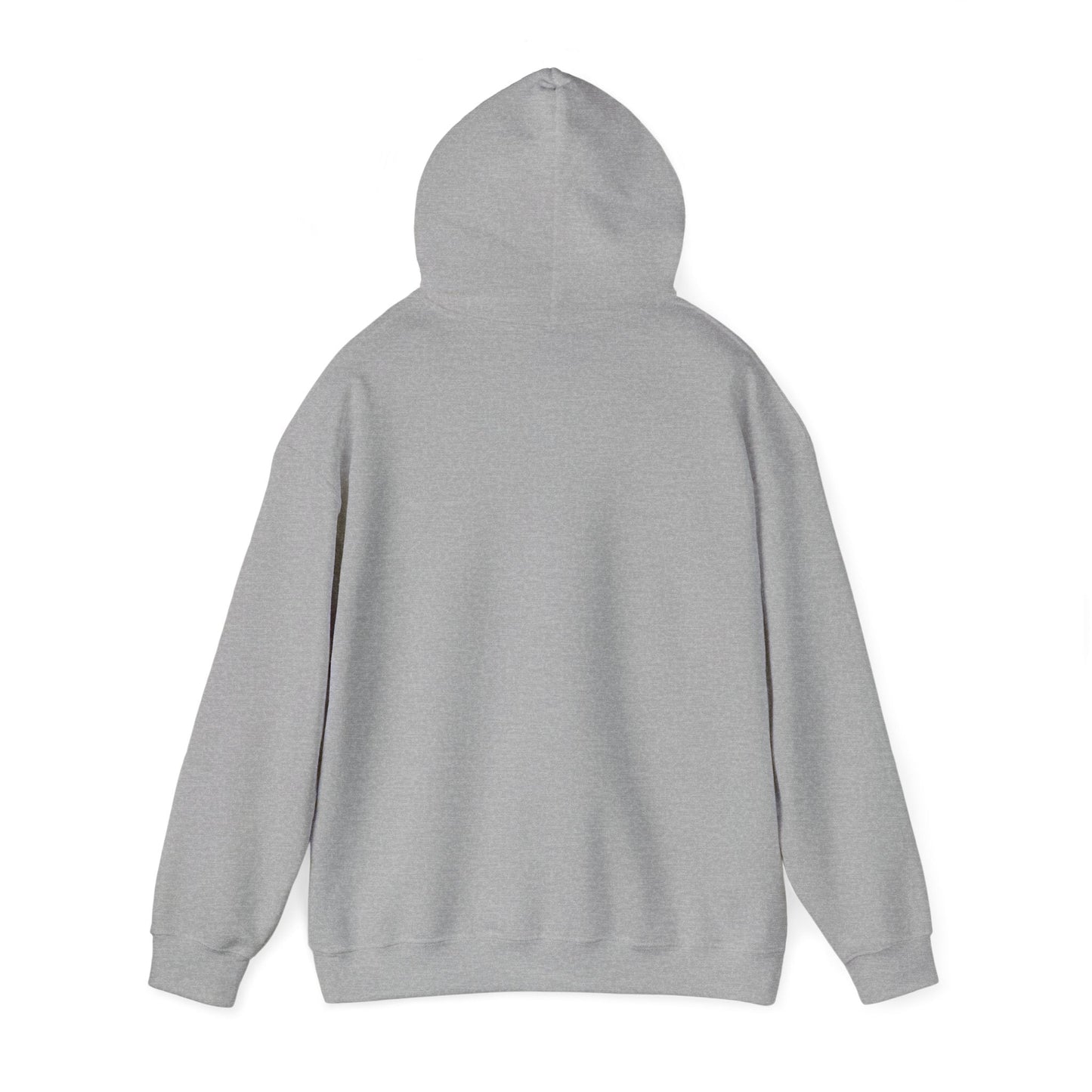Plain Hoodie Printify