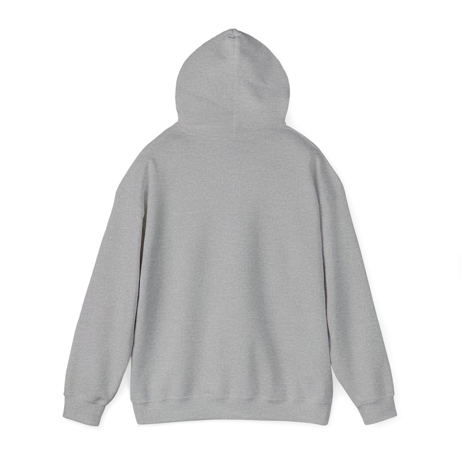 Plain Hoodie Printify