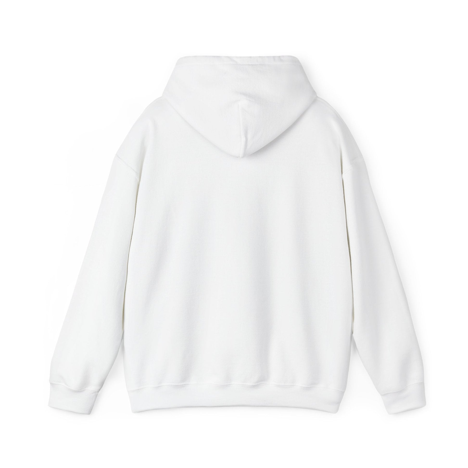 Plain Hoodie Printify