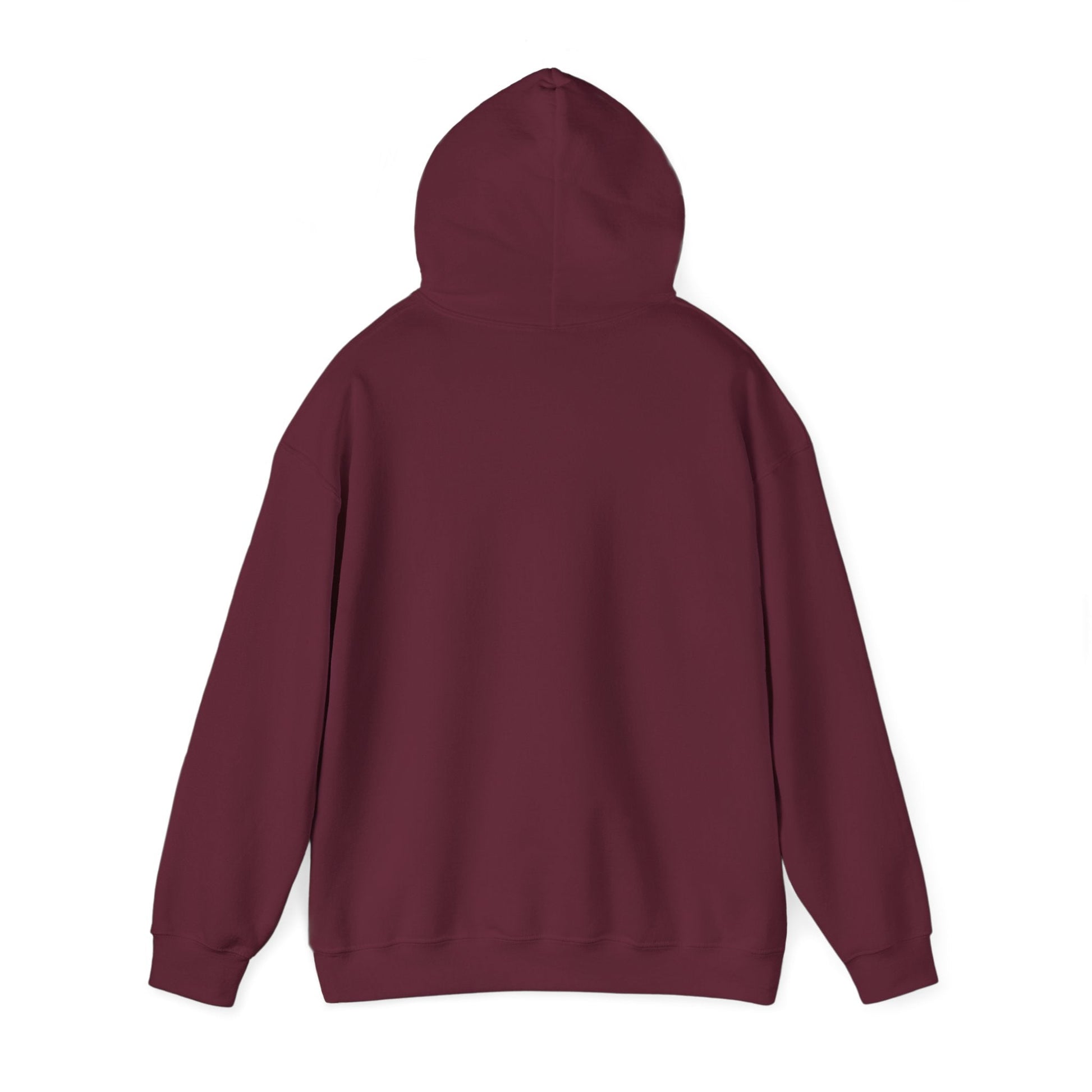 Plain Hoodie Printify