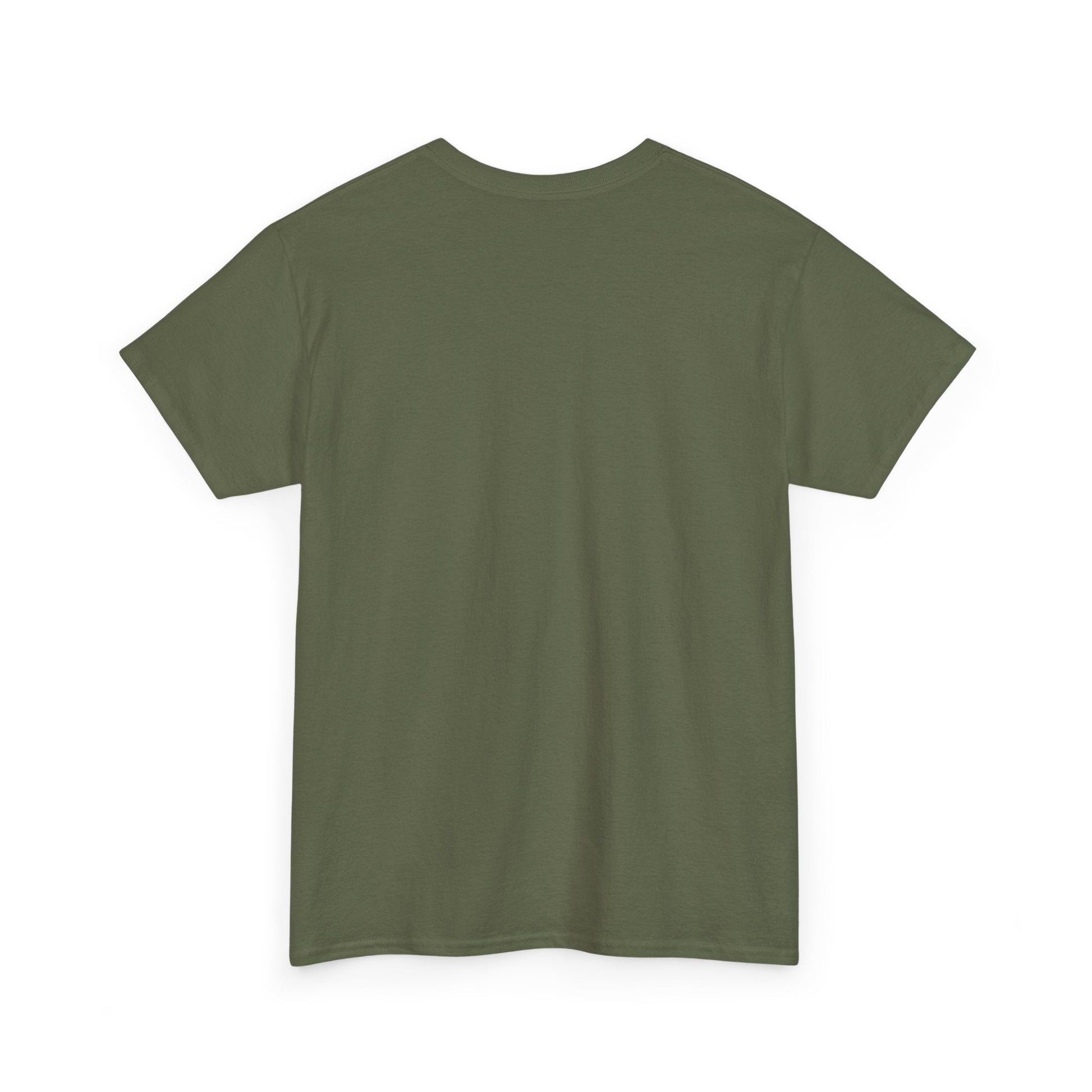 Plain T shirt Printify