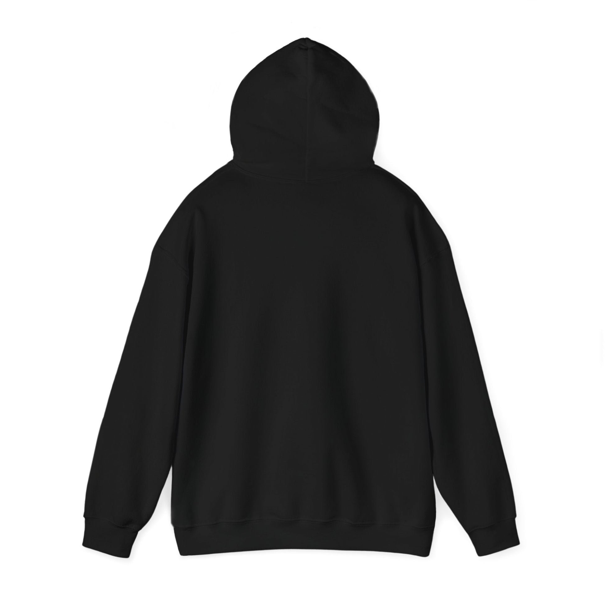 Plain Hoodie Printify