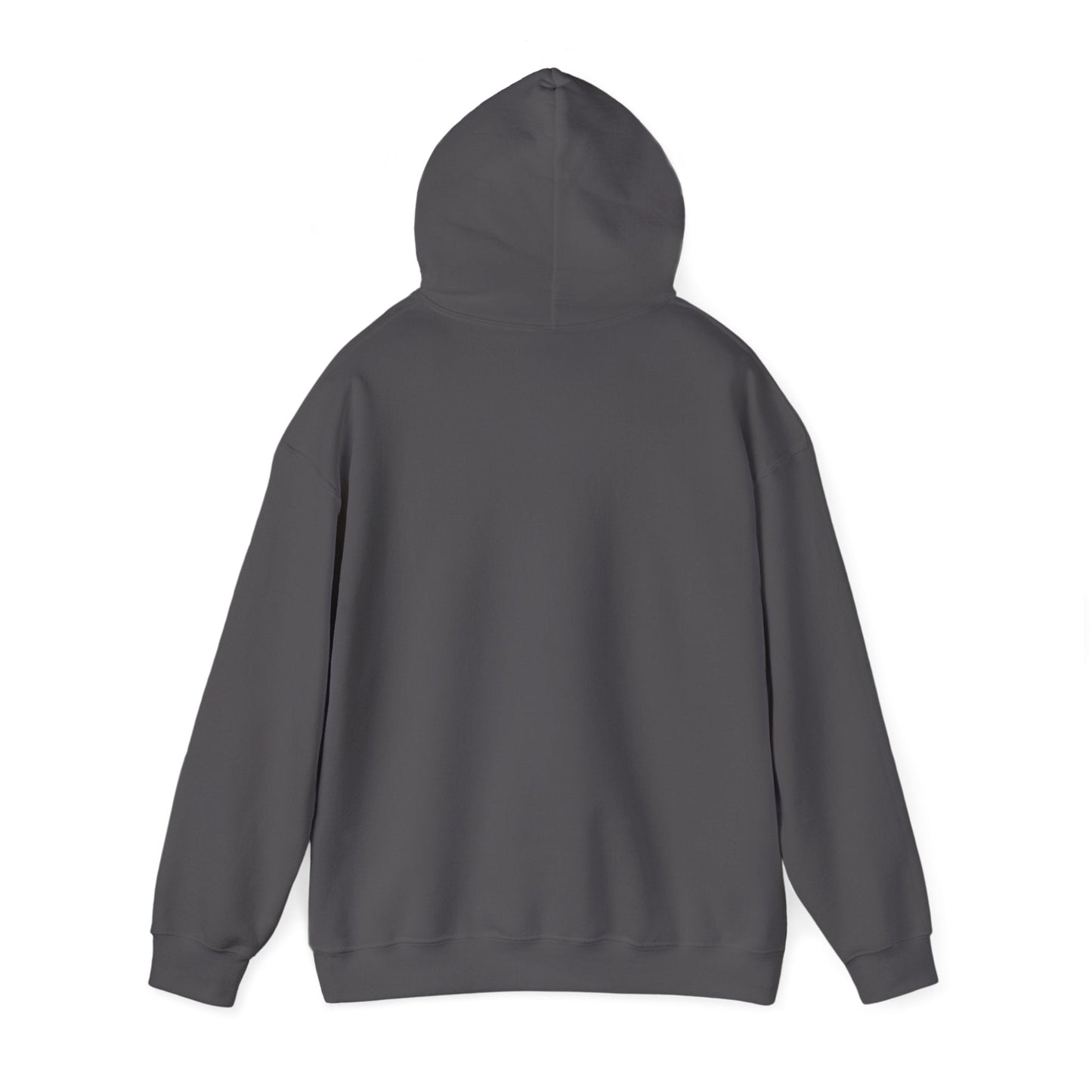 Plain Hoodie Printify