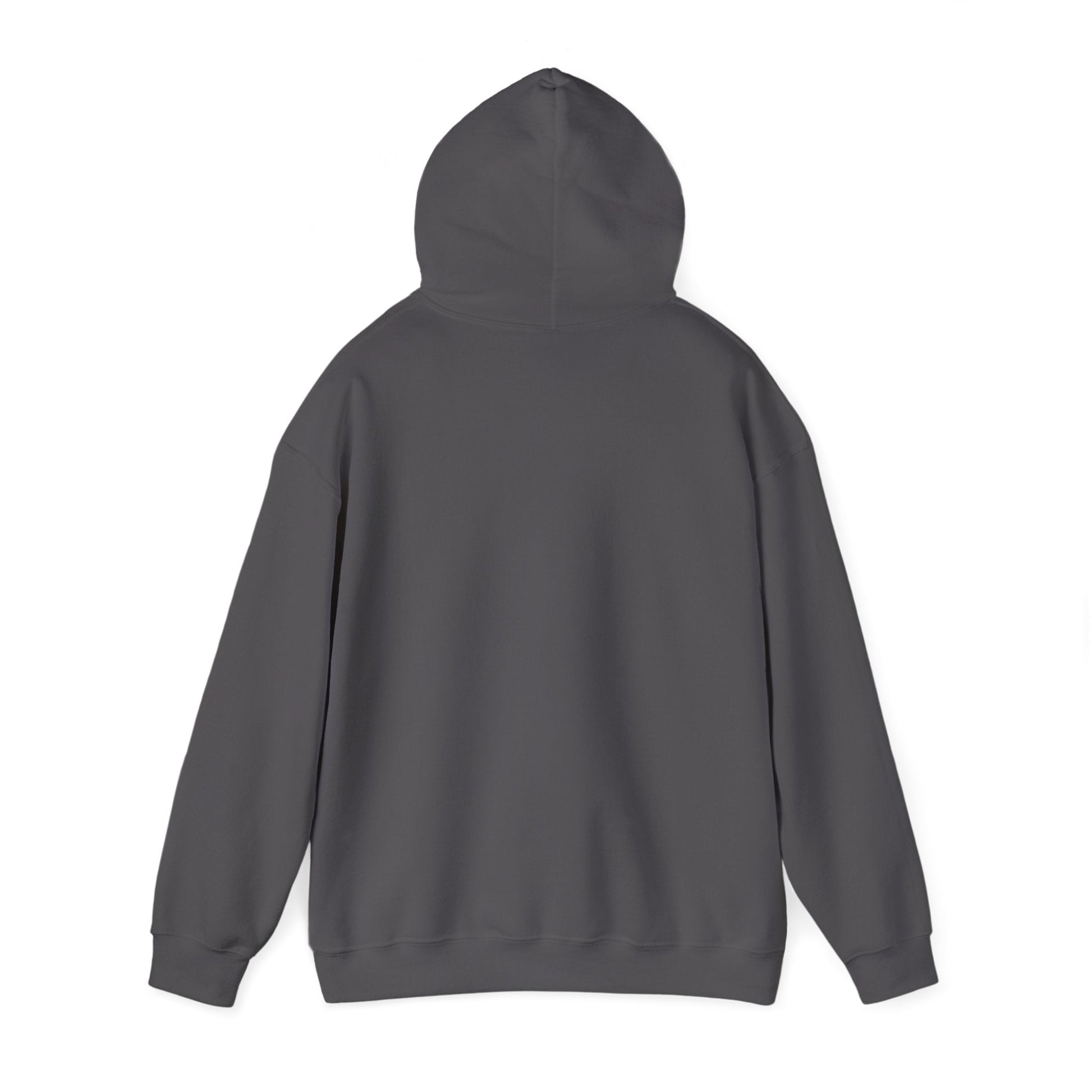 Plain Hoodie Printify