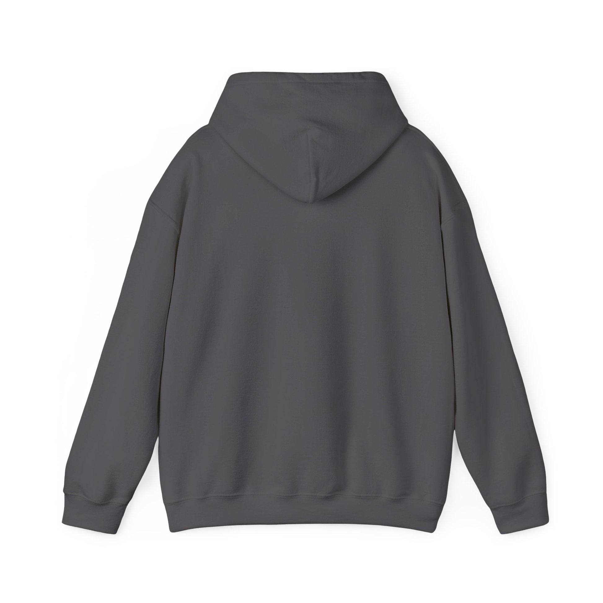 Plain Hoodie Printify