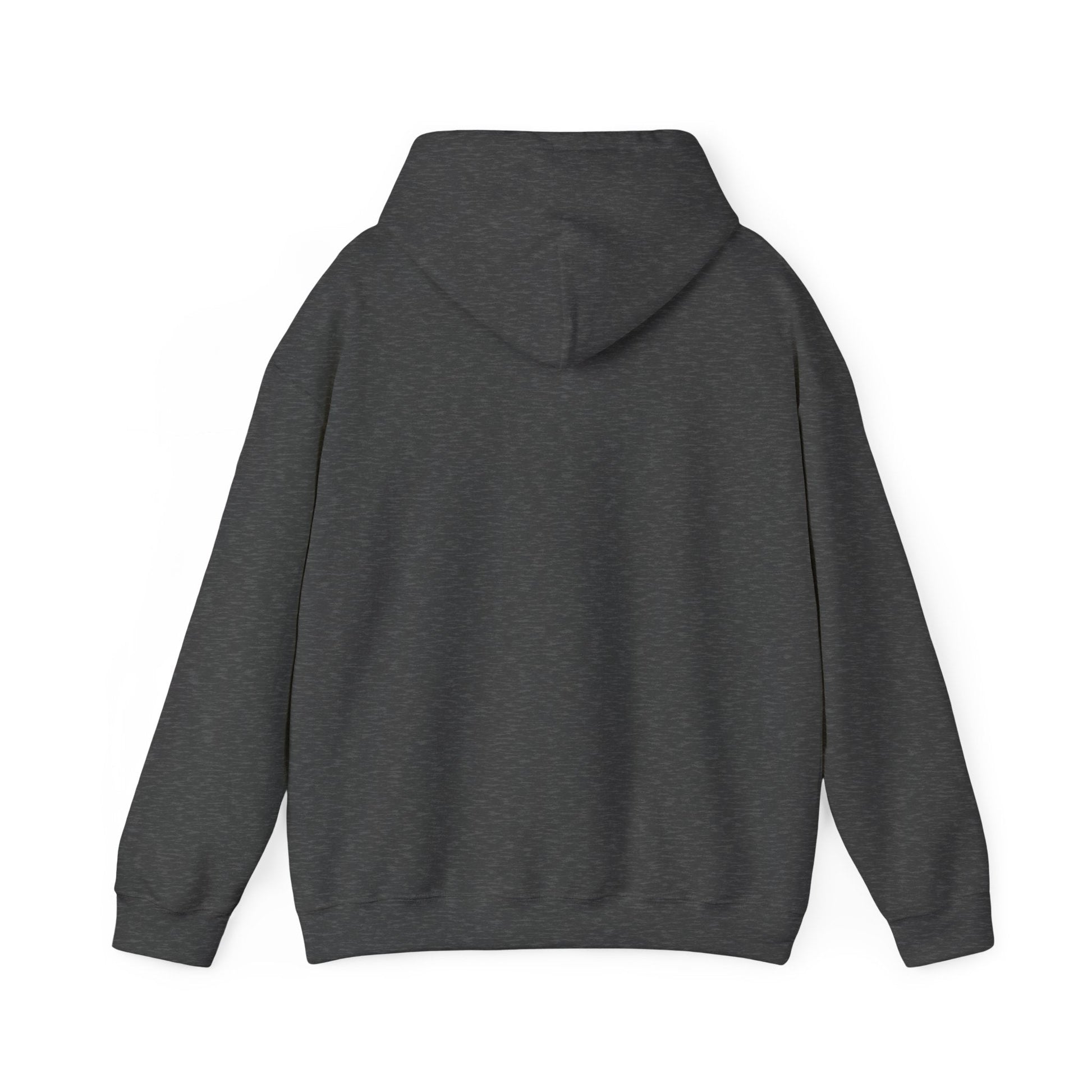 Plain Hoodie Printify