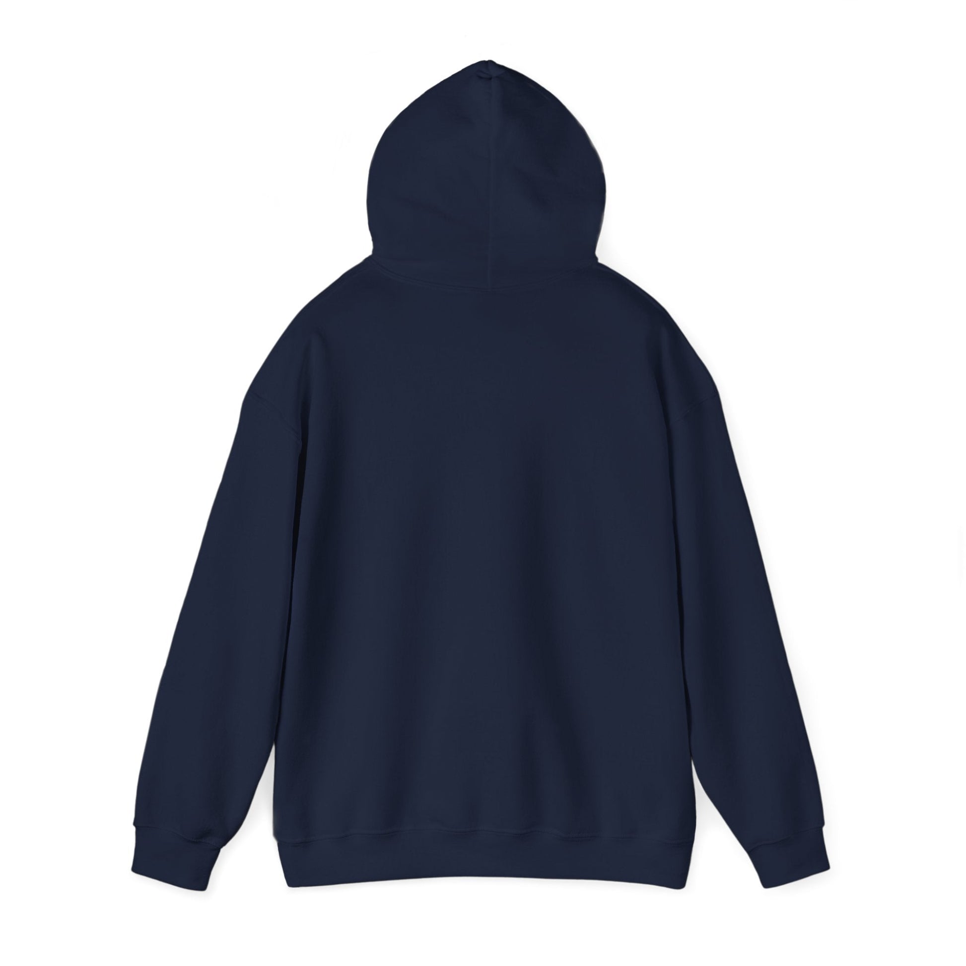 Plain Hoodie Printify