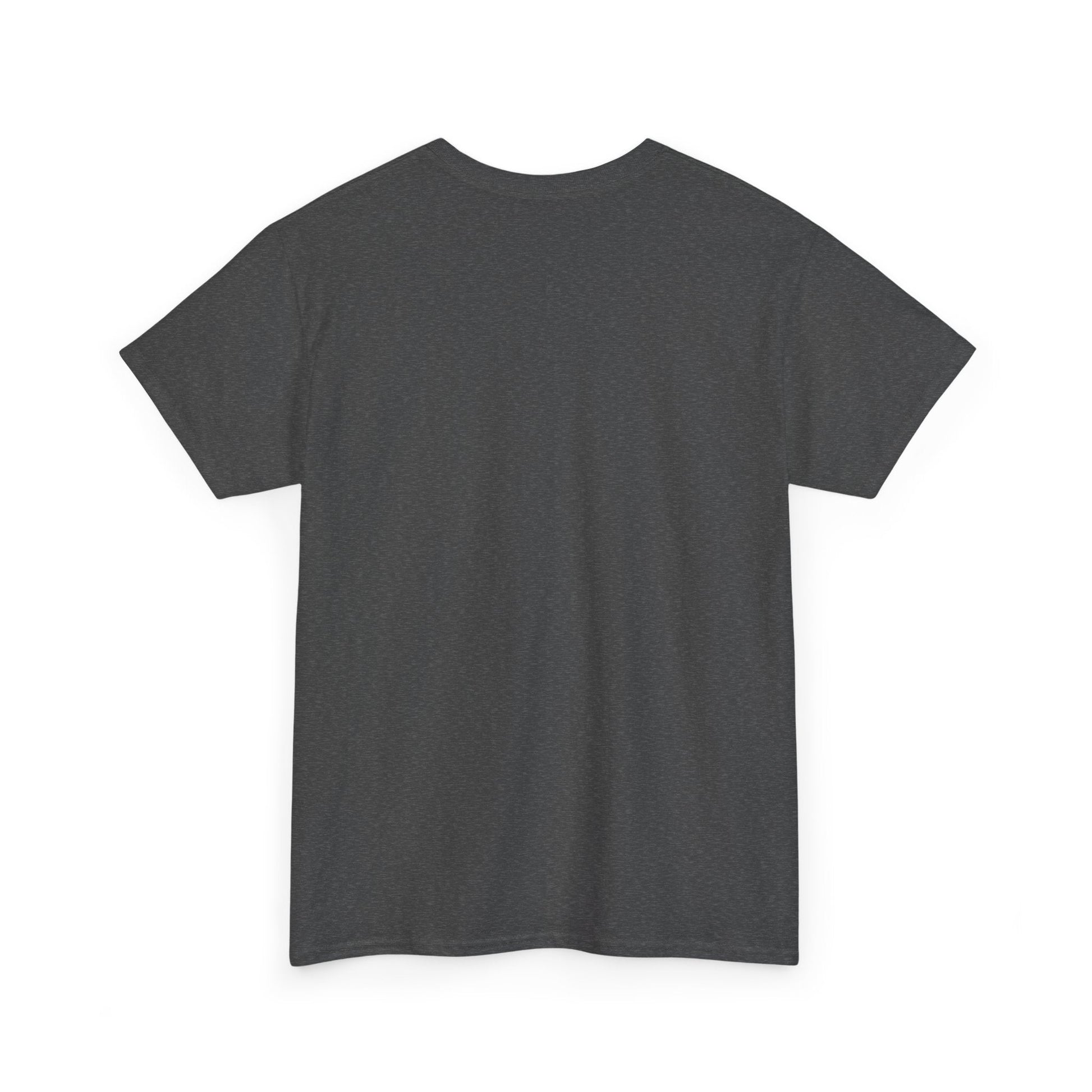 Plain T shirt Printify