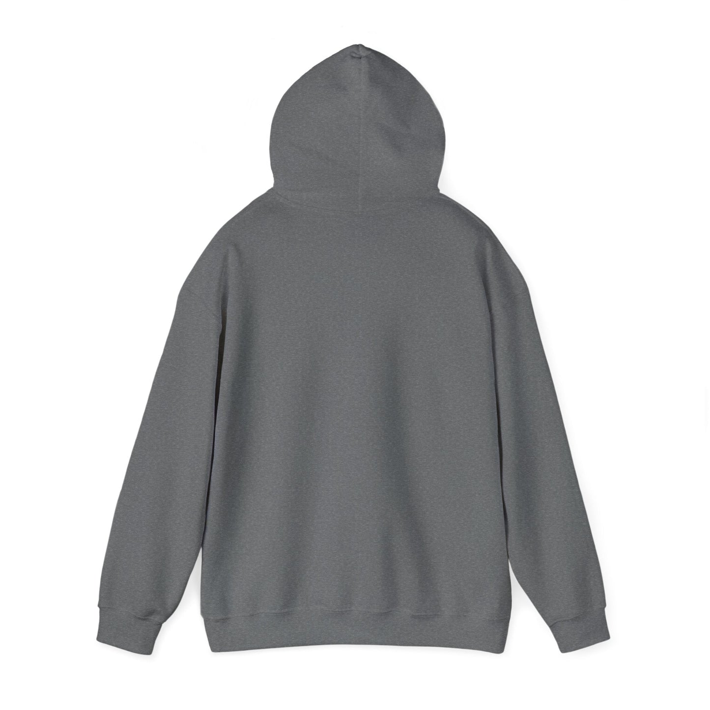 Plain Hoodie Printify