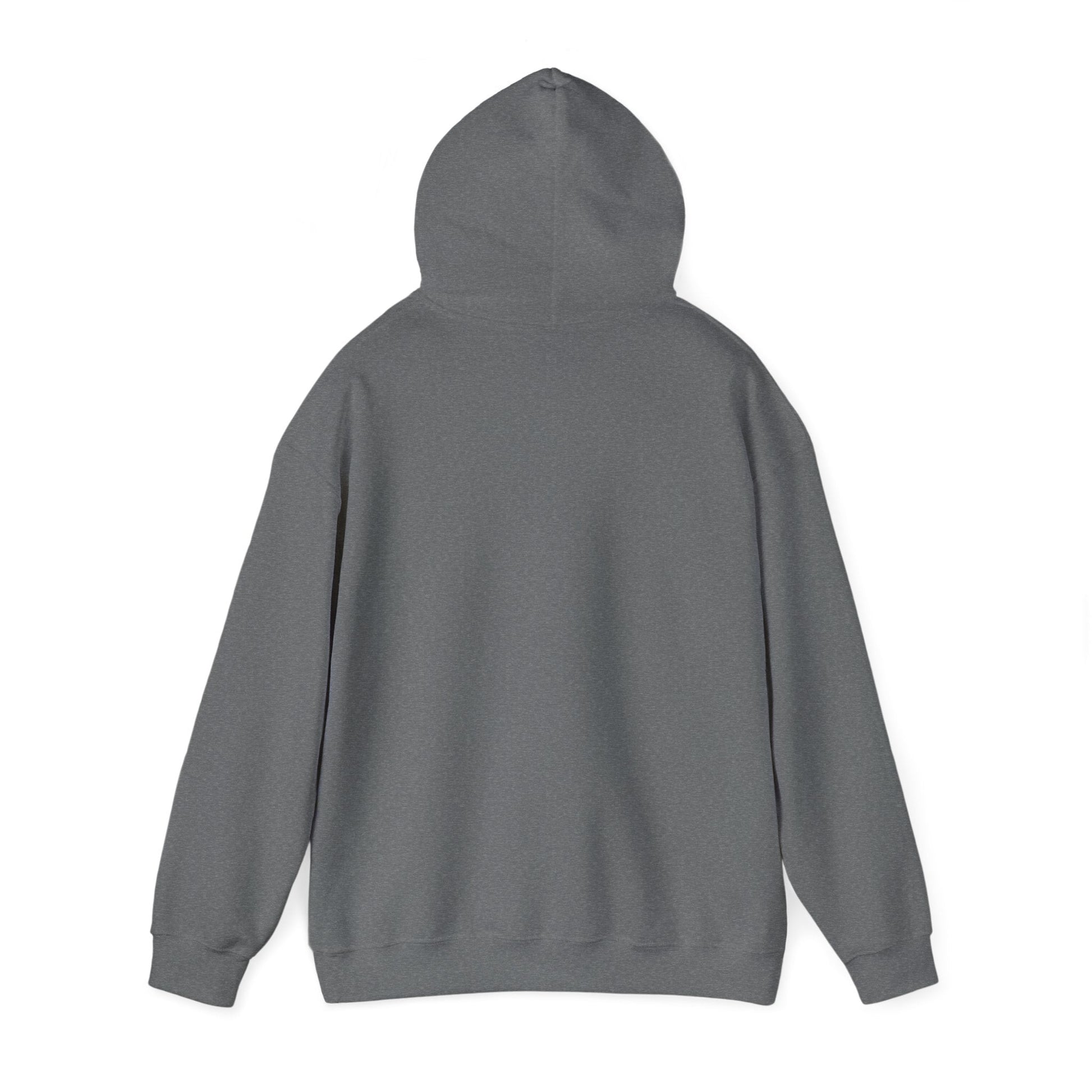 Plain Hoodie Printify