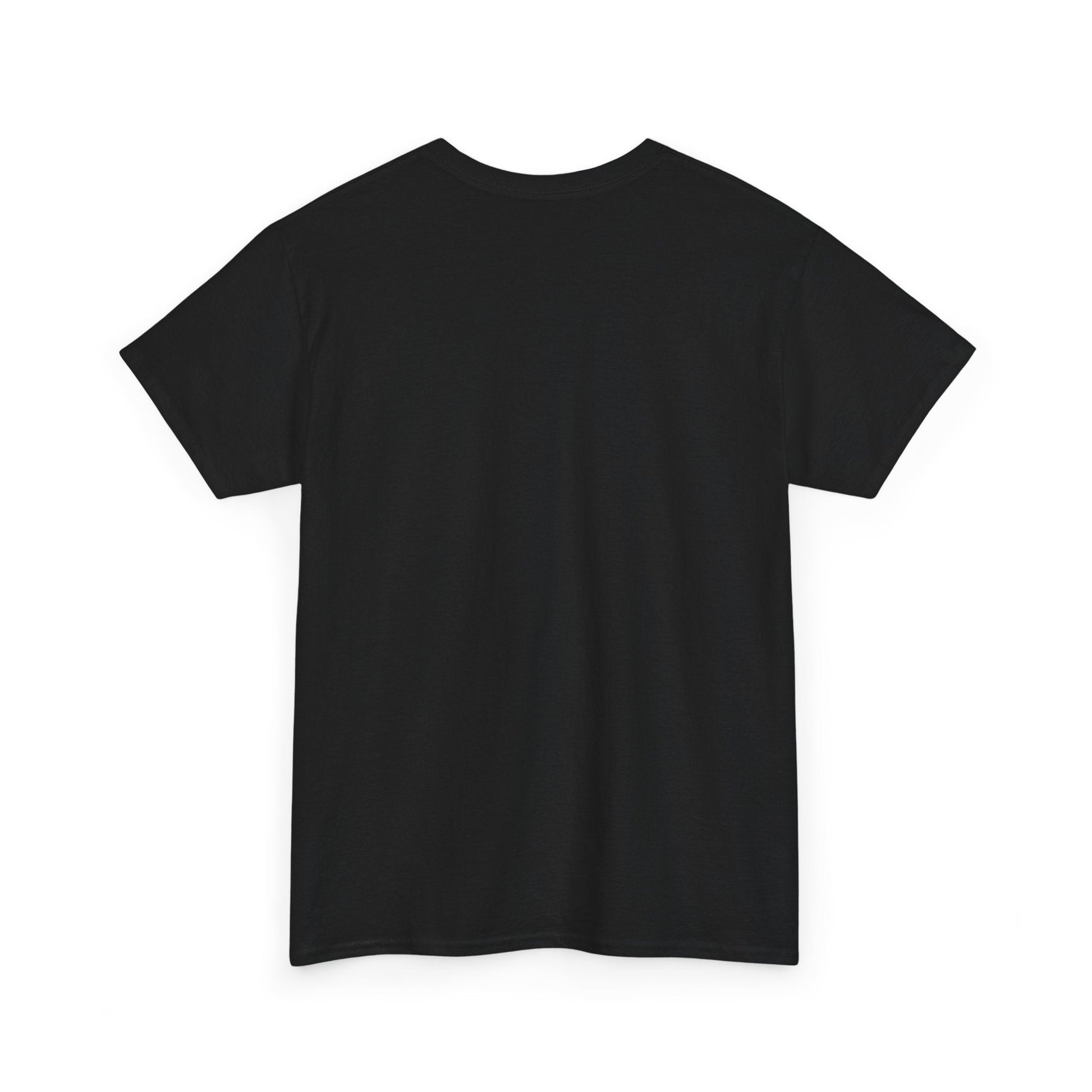 Plain T shirt Printify