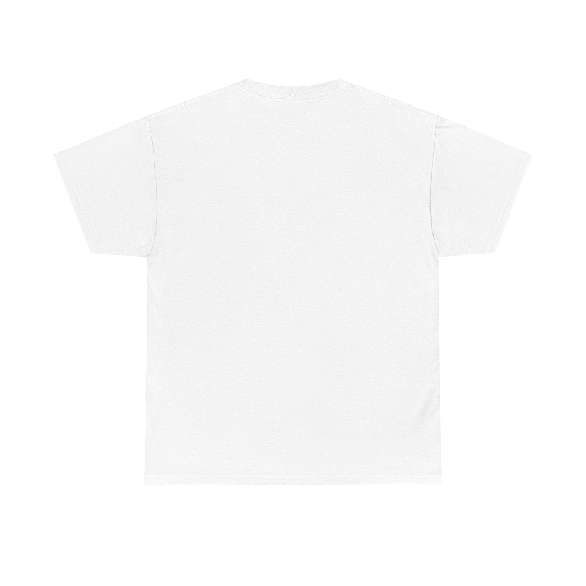 Plain T shirt Printify