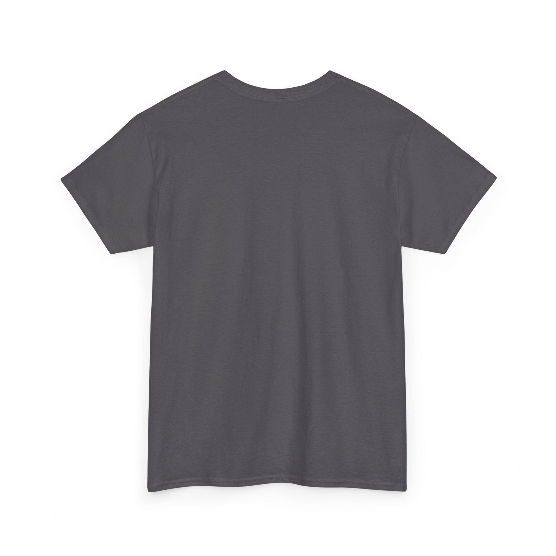 Plain T shirt Printify
