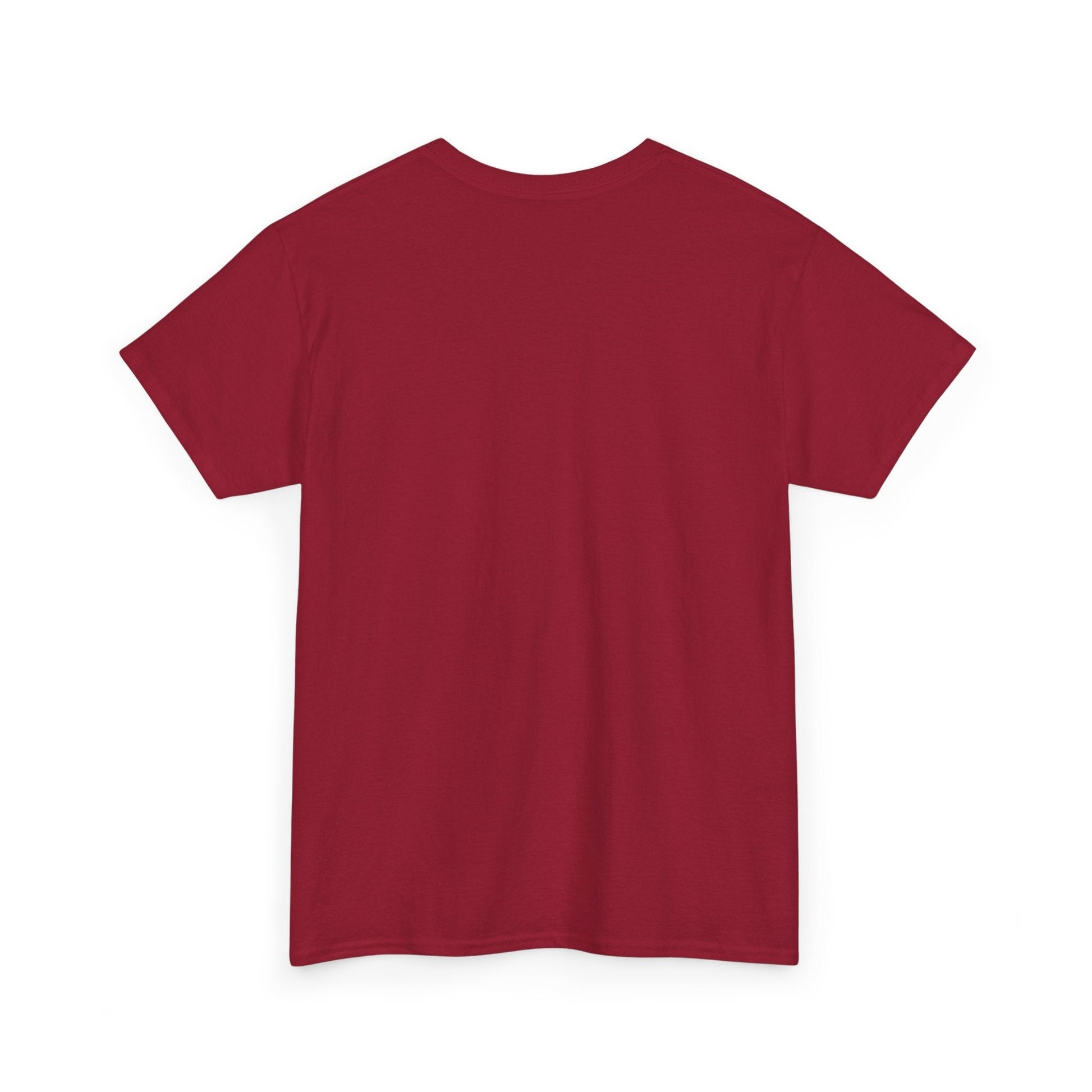 Plain T shirt Printify