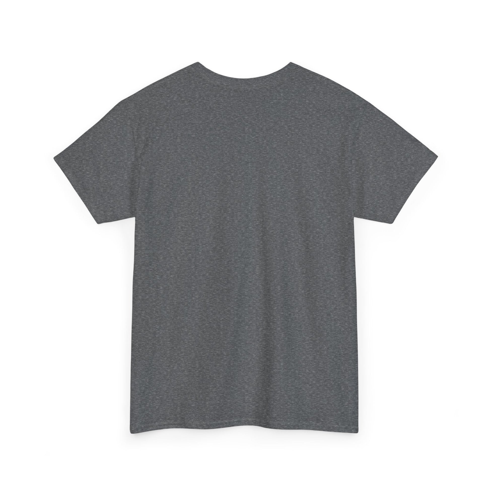 Plain T shirt Printify