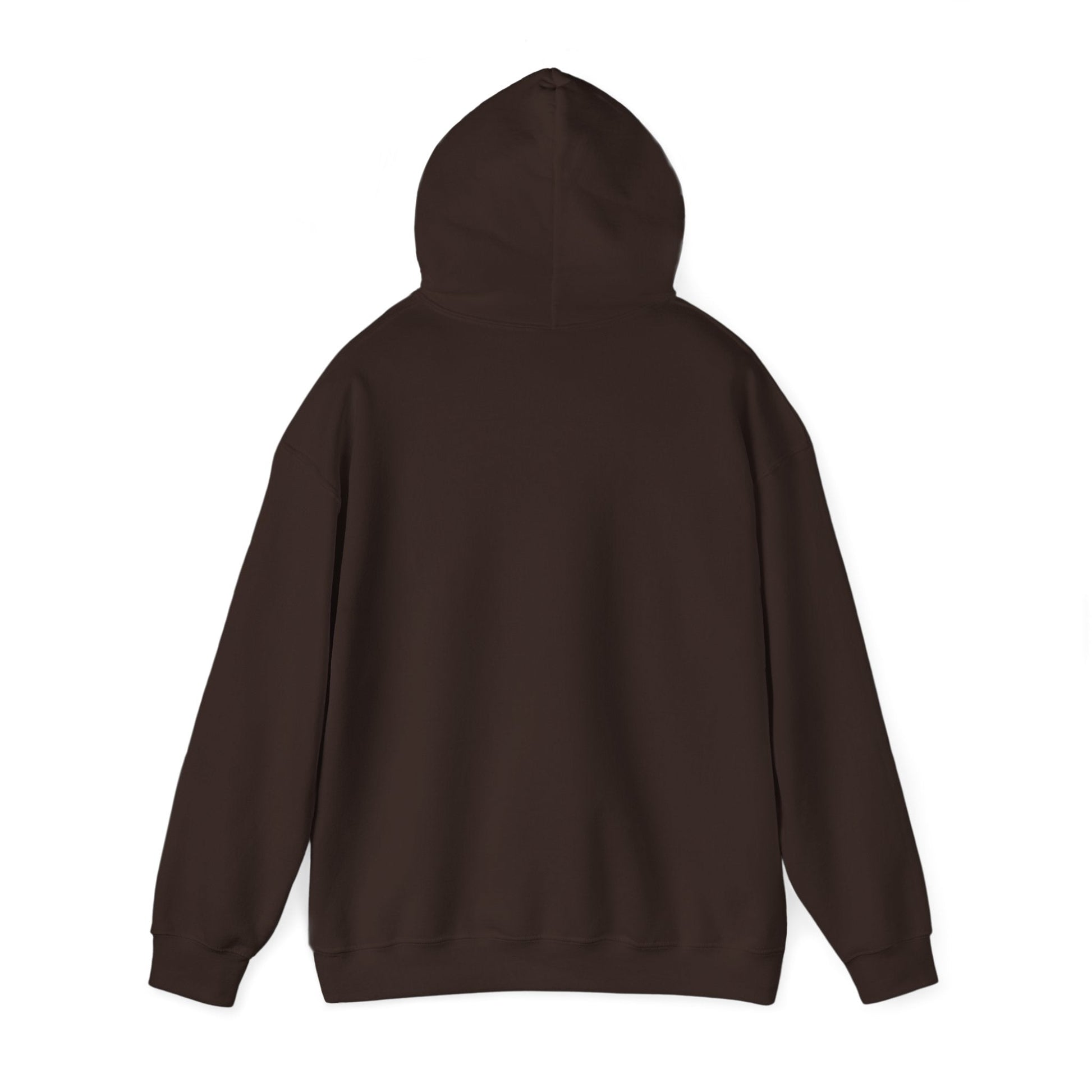 Plain Hoodie Printify