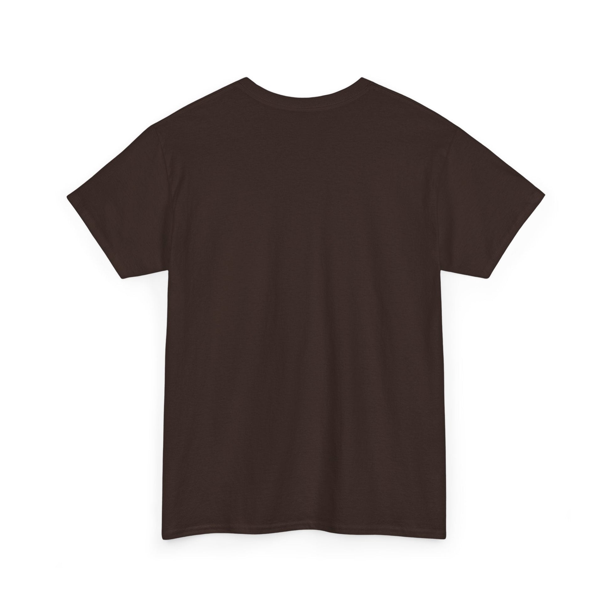 Plain T shirt Printify