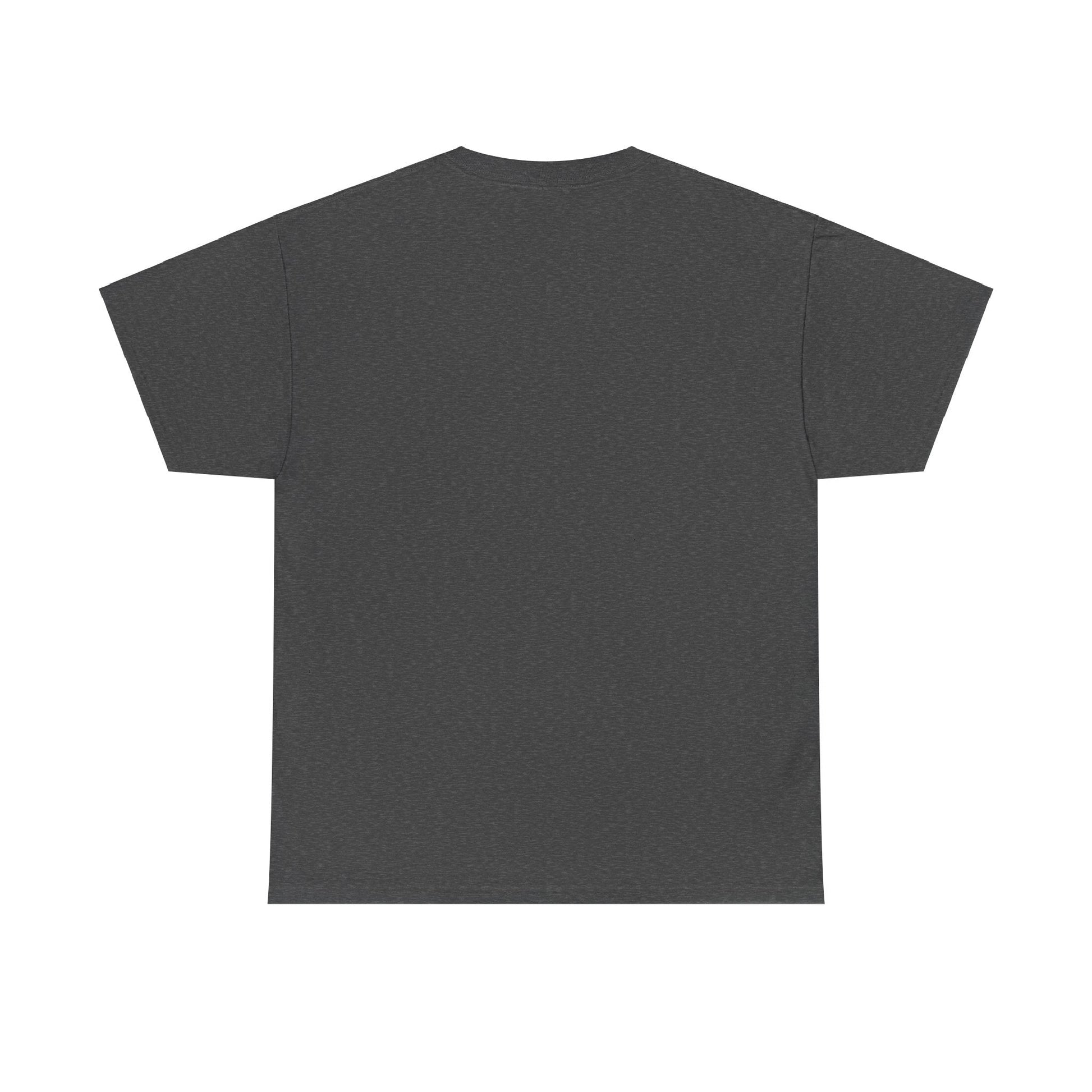 Plain T shirt Printify
