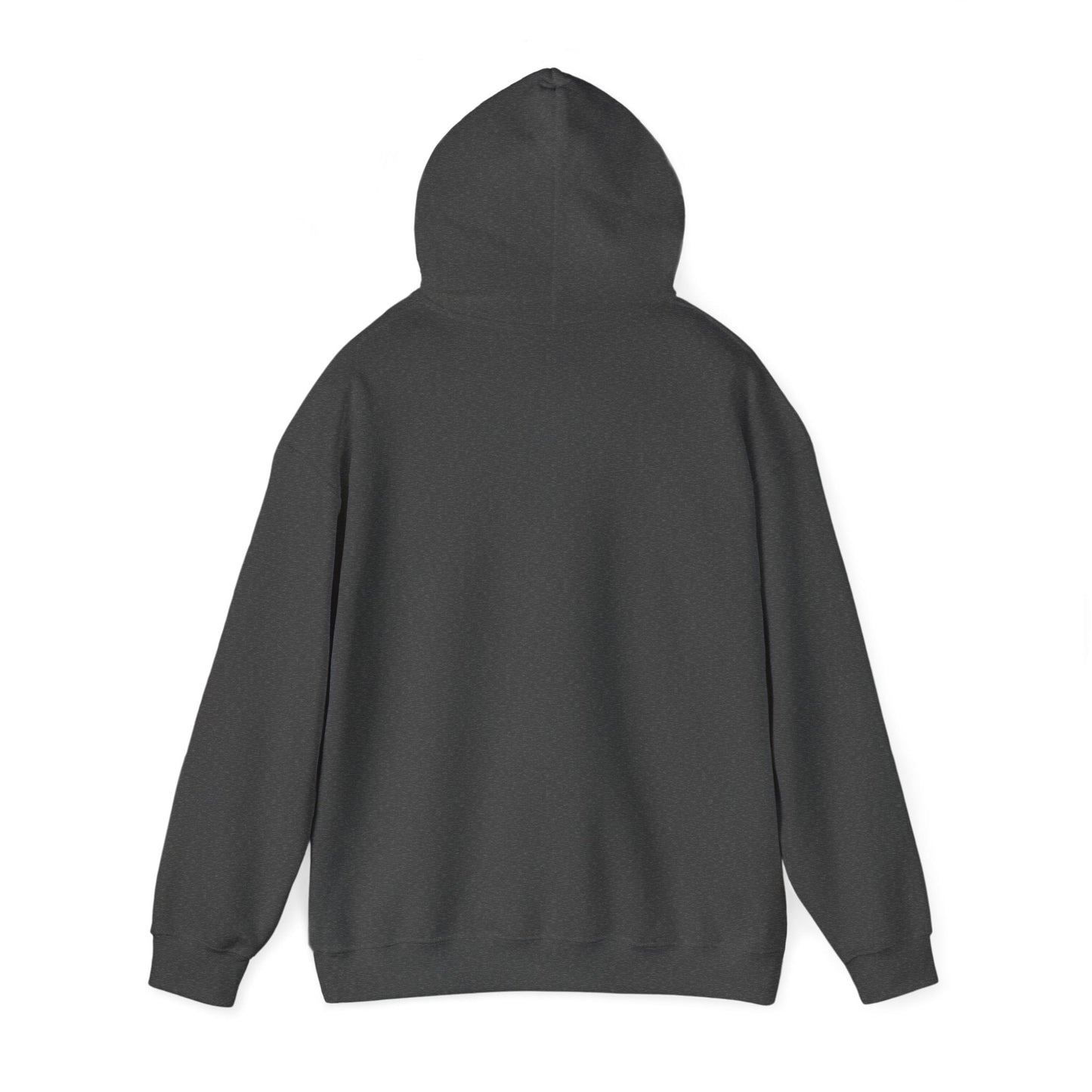 Plain Hoodie Printify