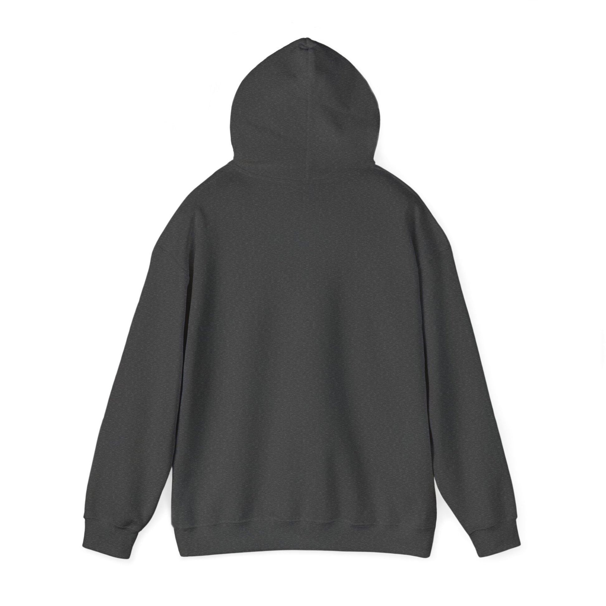 Plain Hoodie Printify