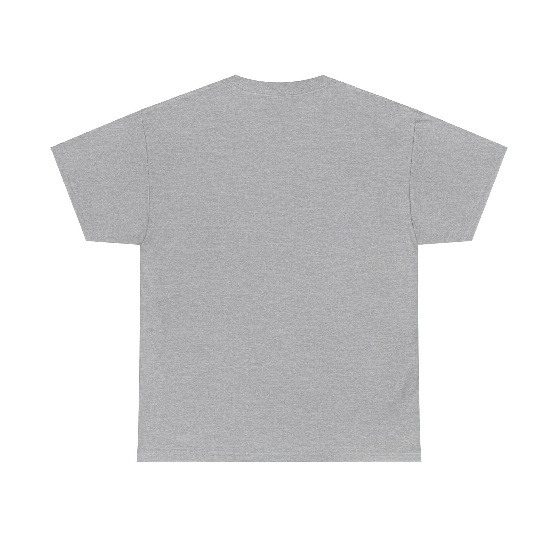 Plain T shirt Printify