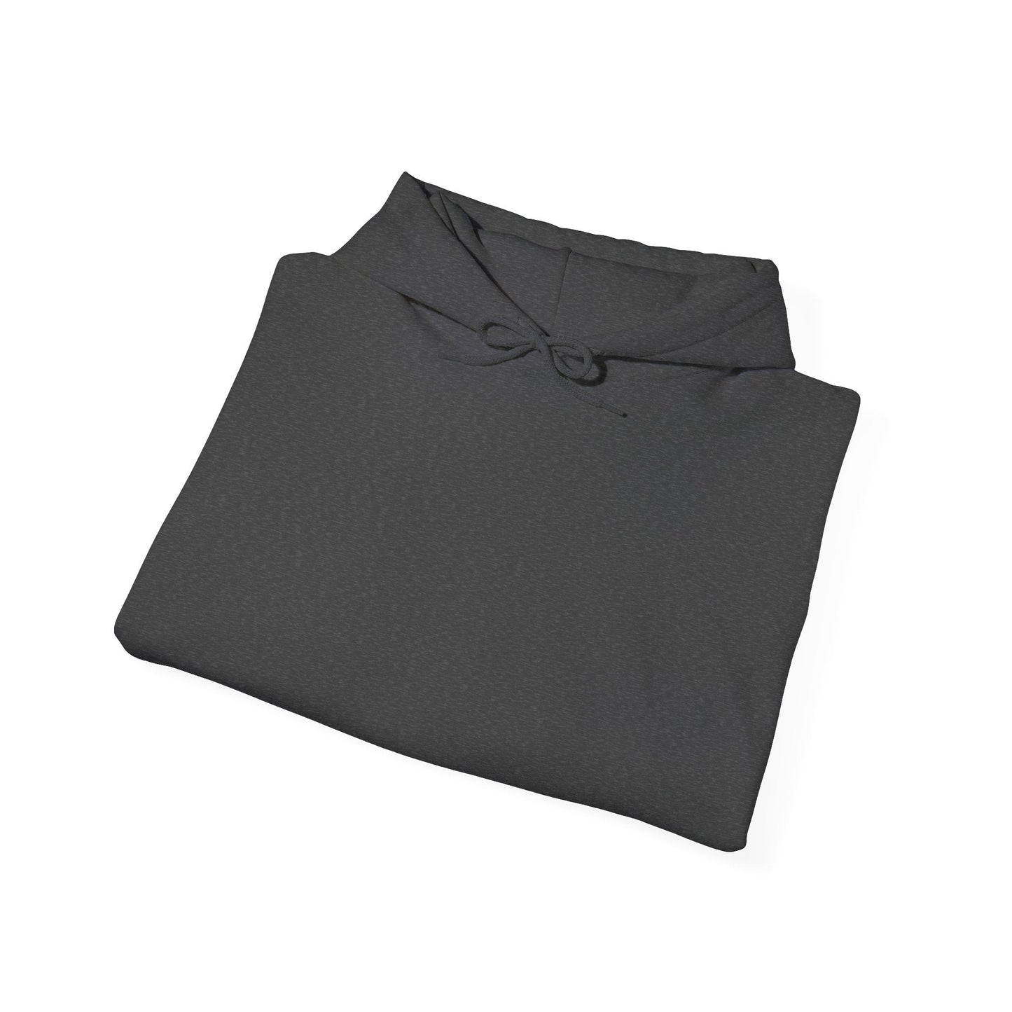 Plain Hoodie Printify