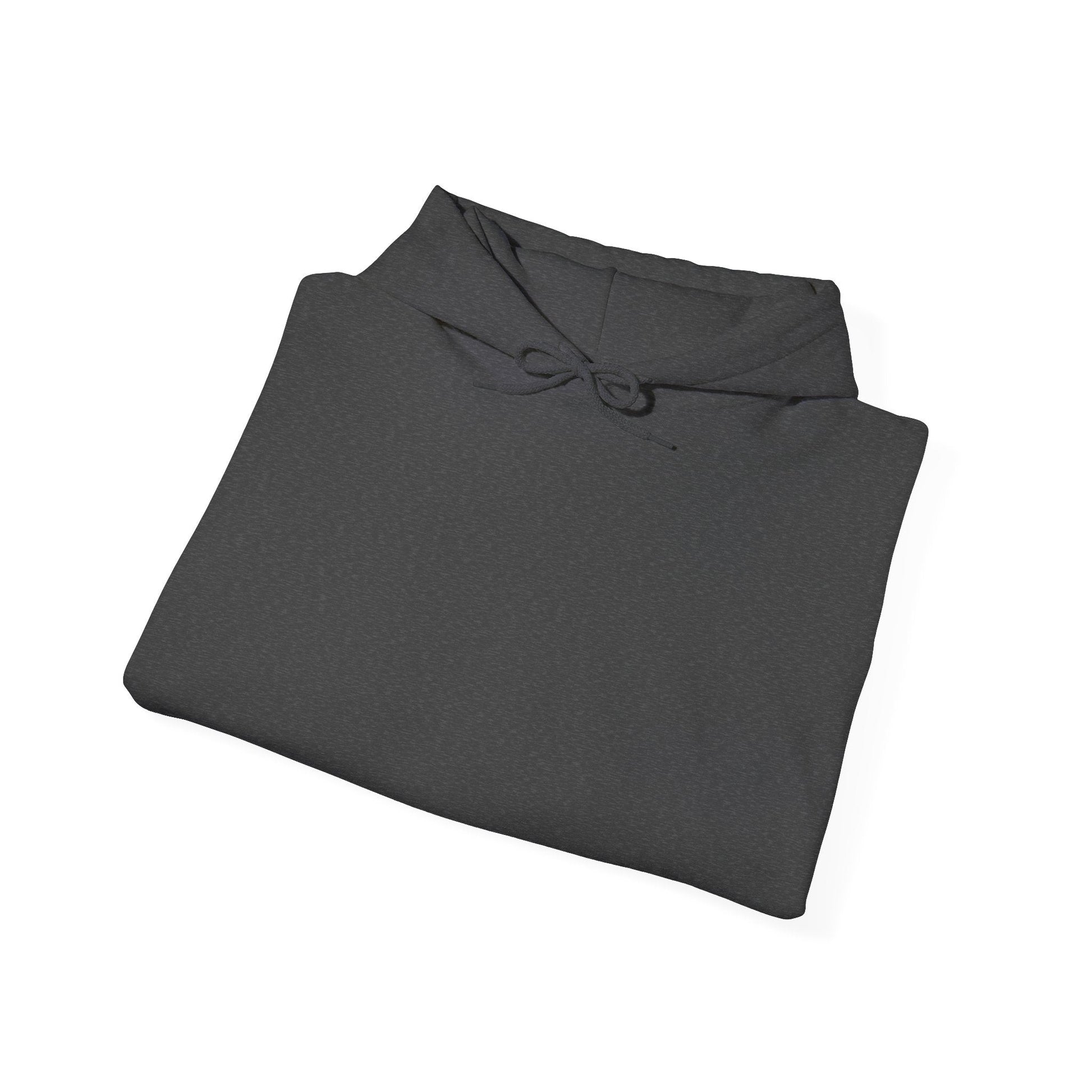 Plain Hoodie Printify