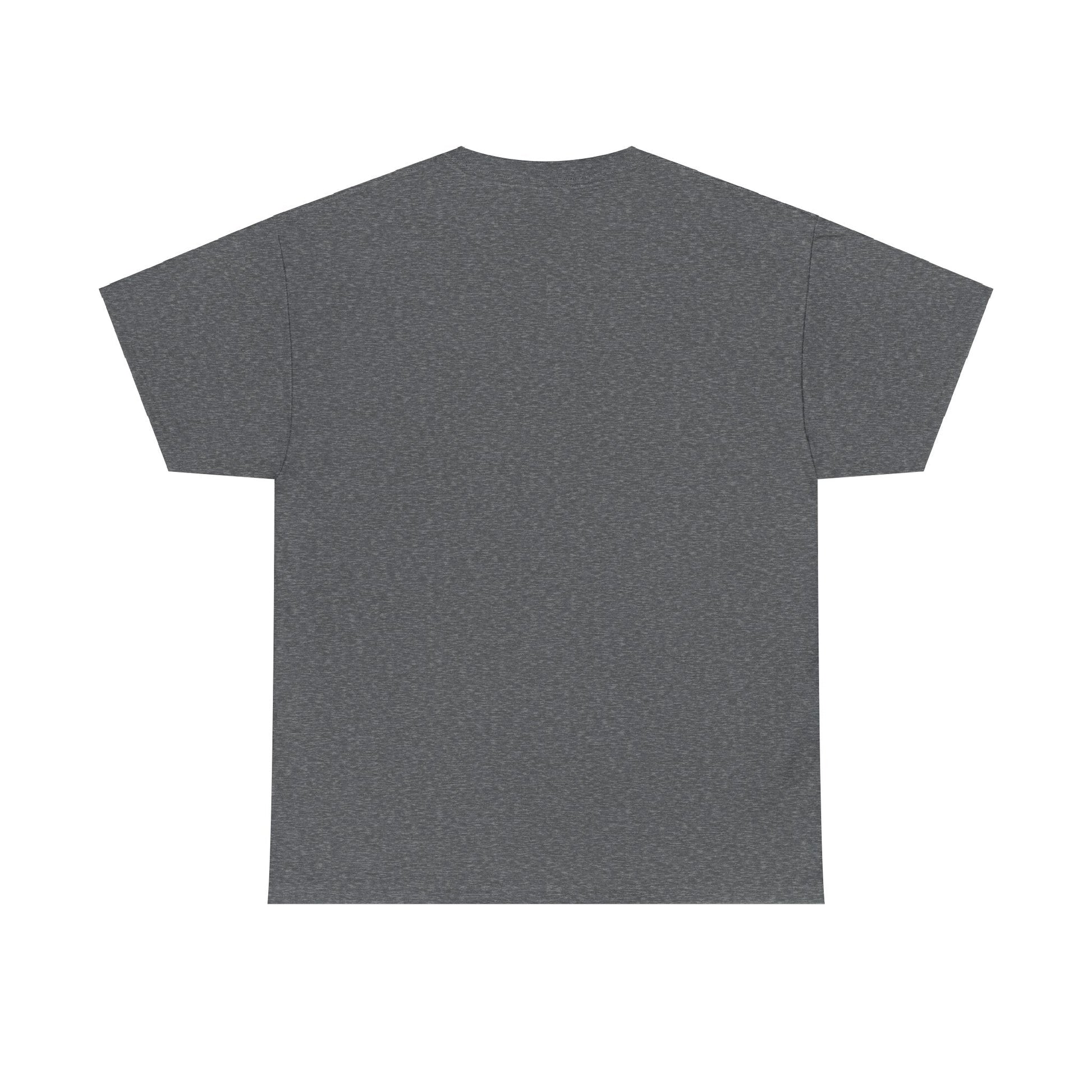 Plain T shirt Printify