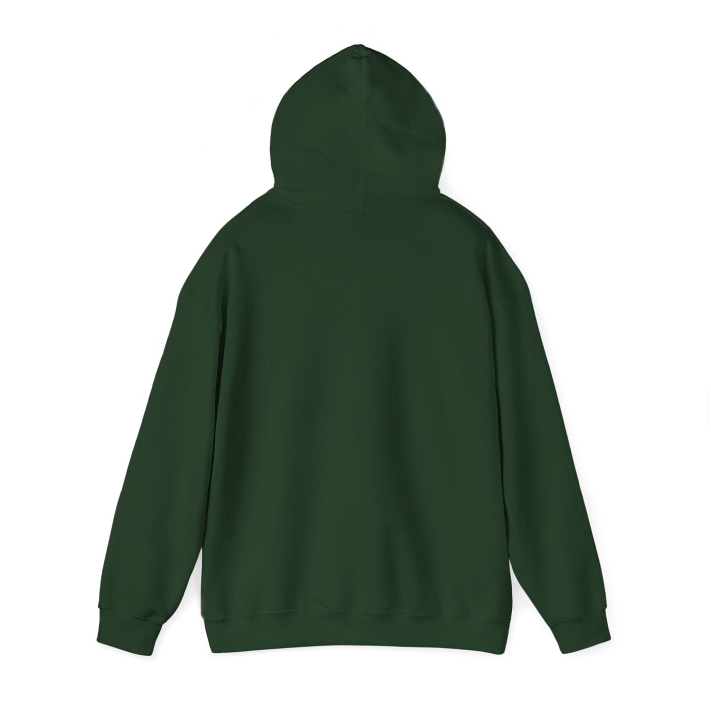 Plain Hoodie Printify