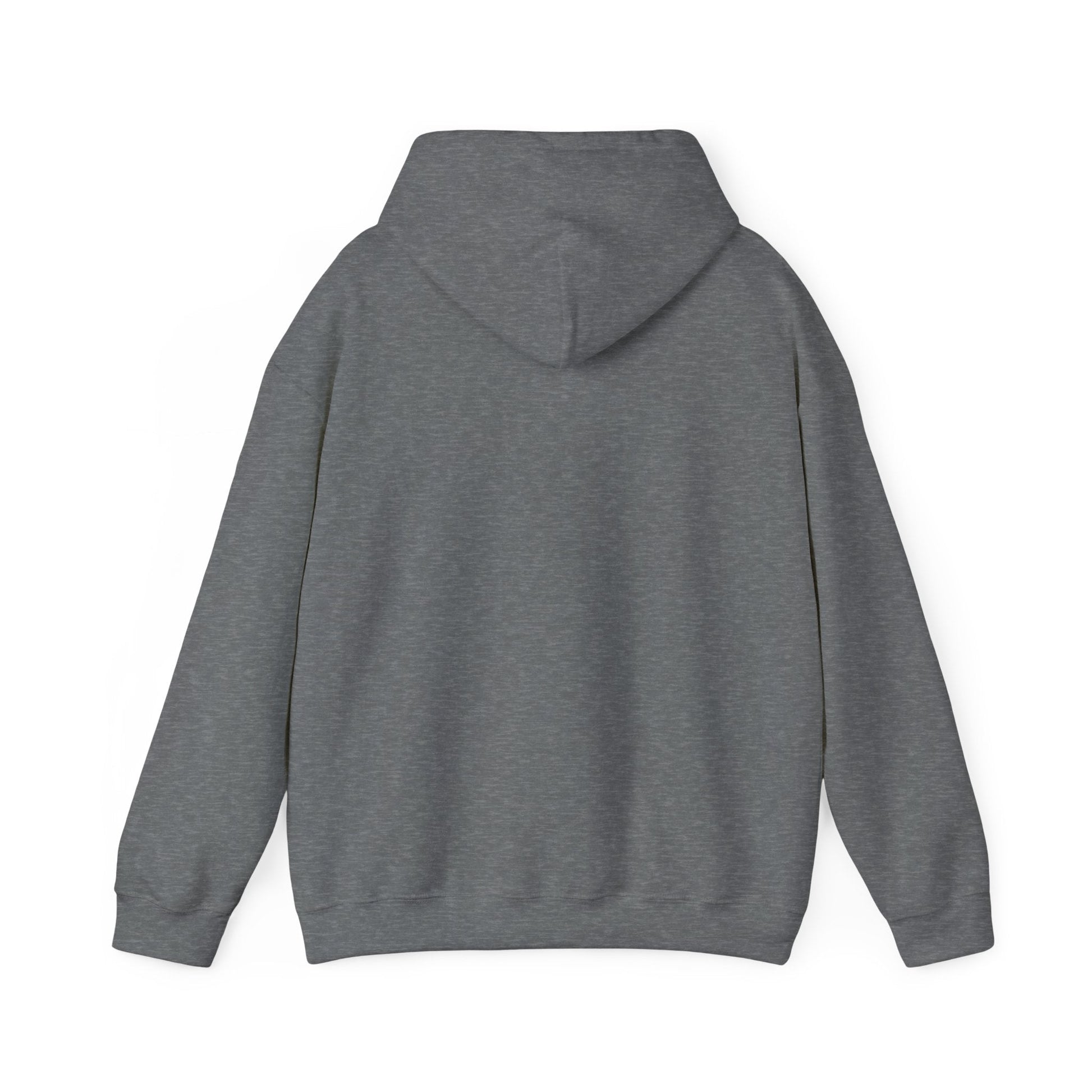 Plain Hoodie Printify