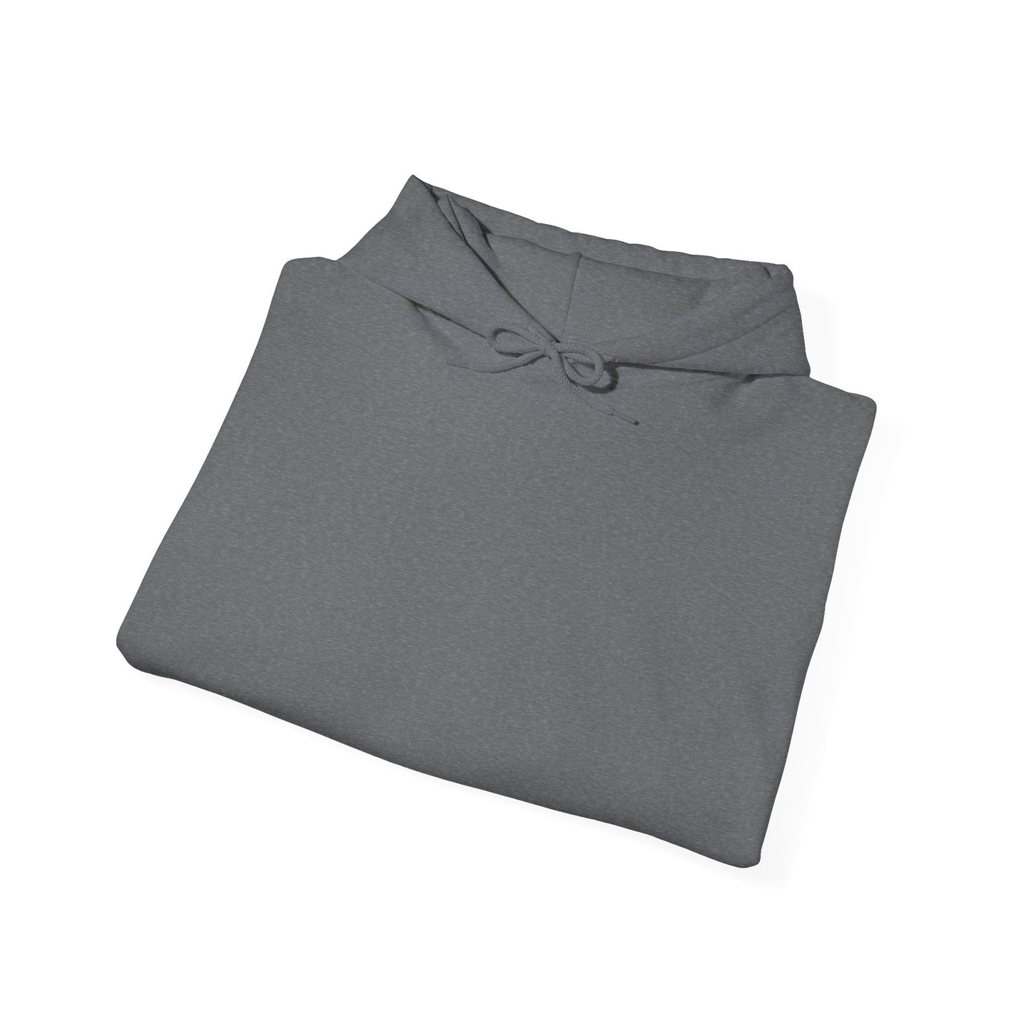 Plain Hoodie Printify