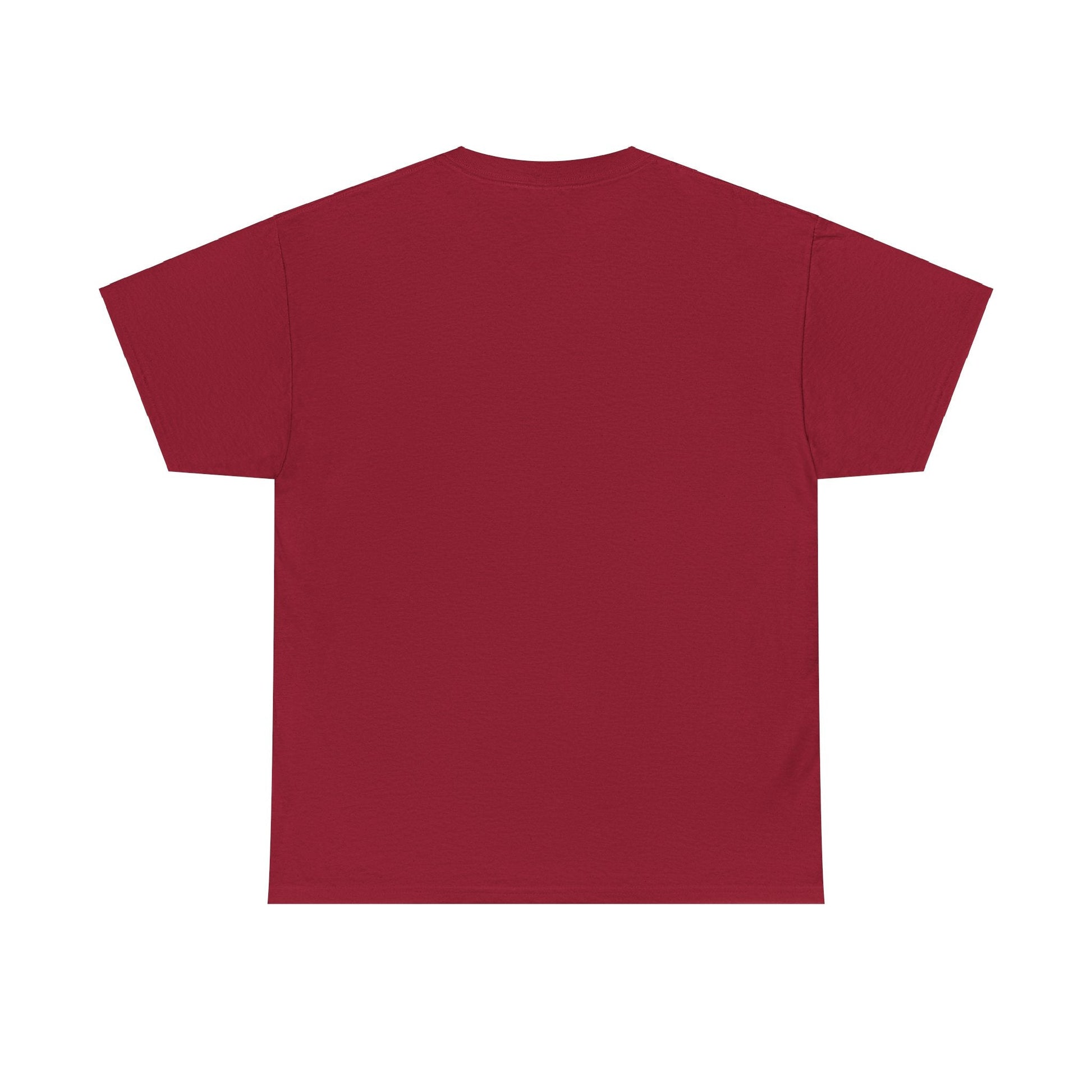 Plain T shirt Printify