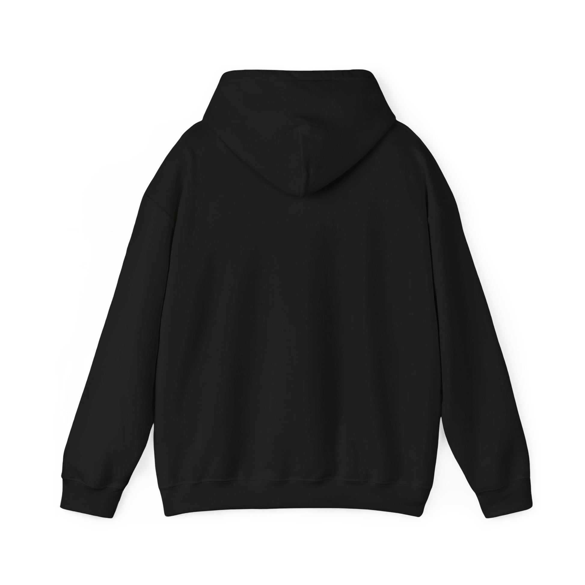 Plain Hoodie Printify