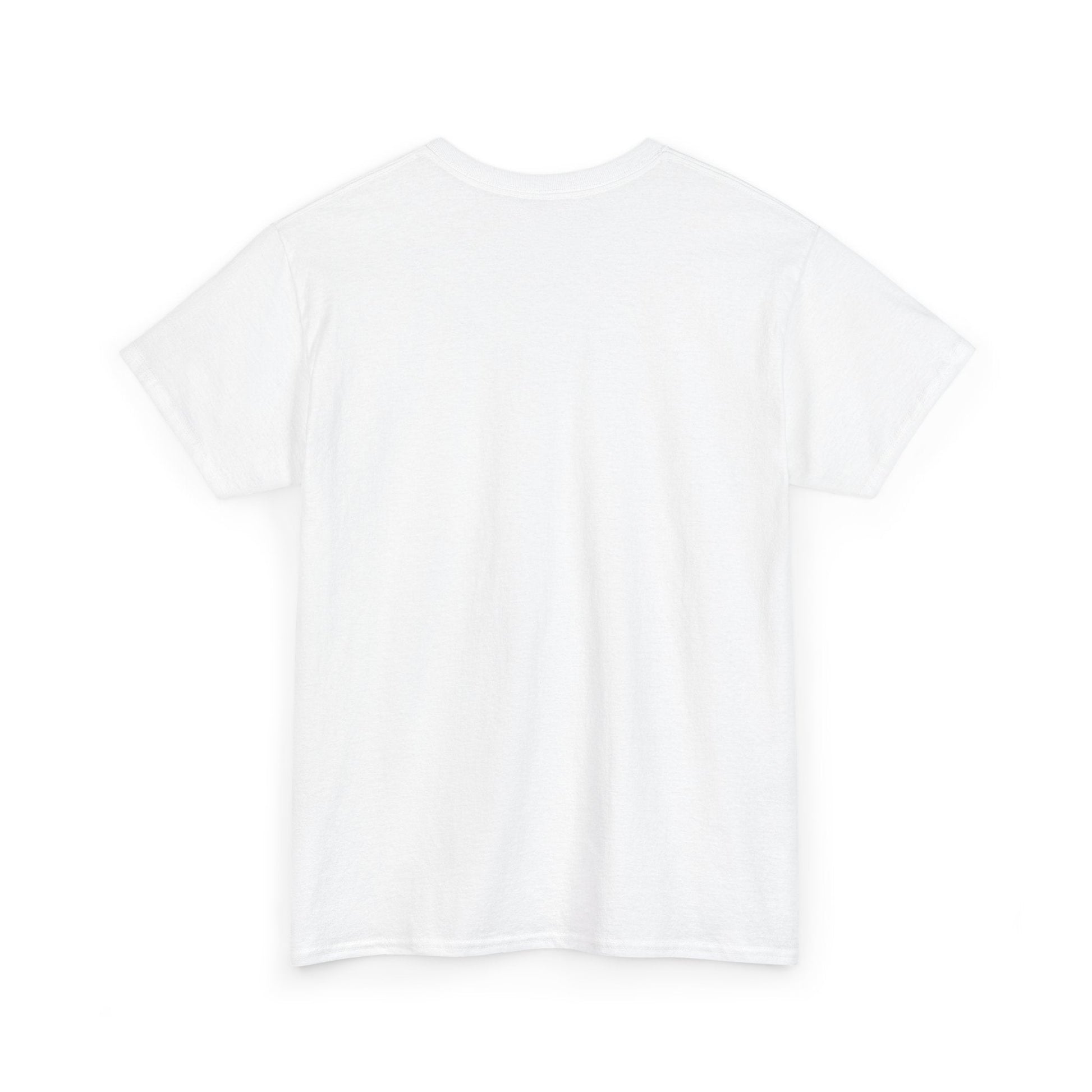 Plain T shirt Printify