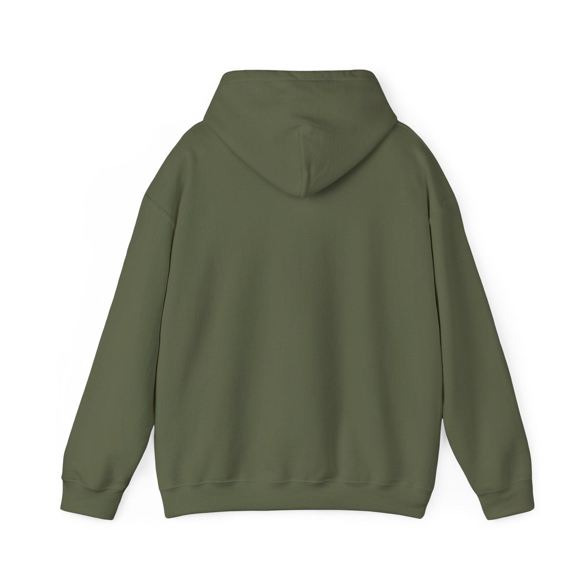 Plain Hoodie Printify