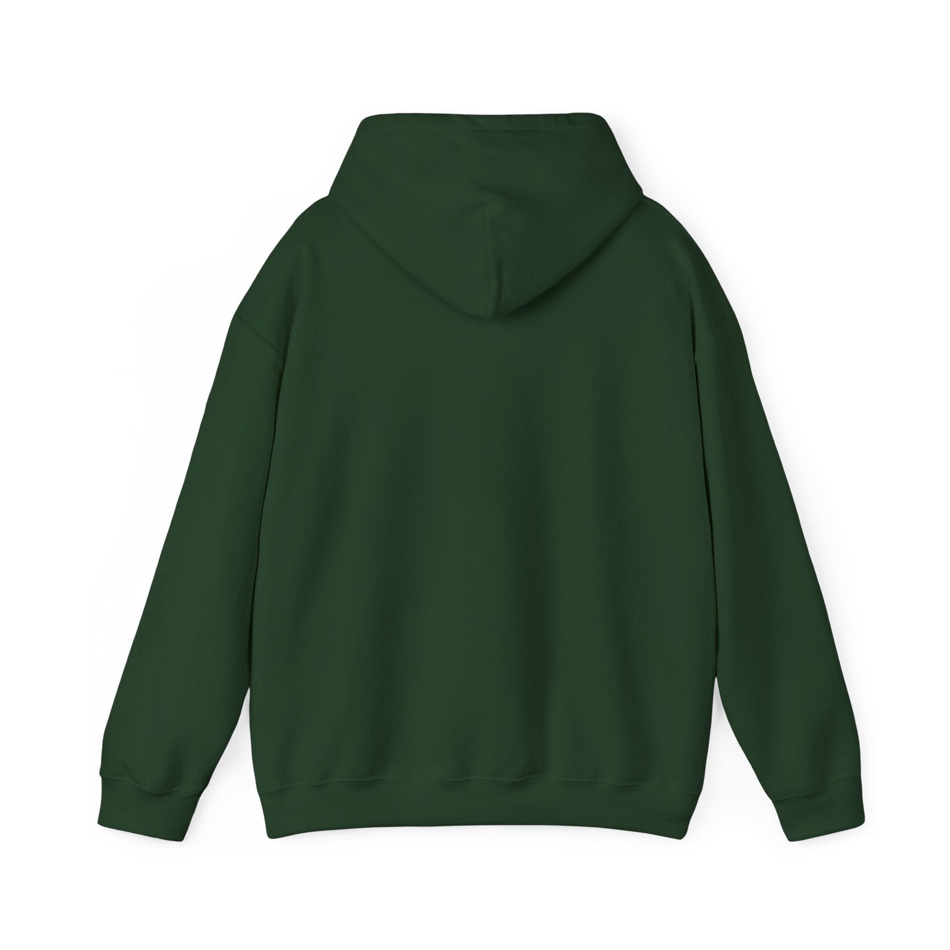 Plain Hoodie Printify