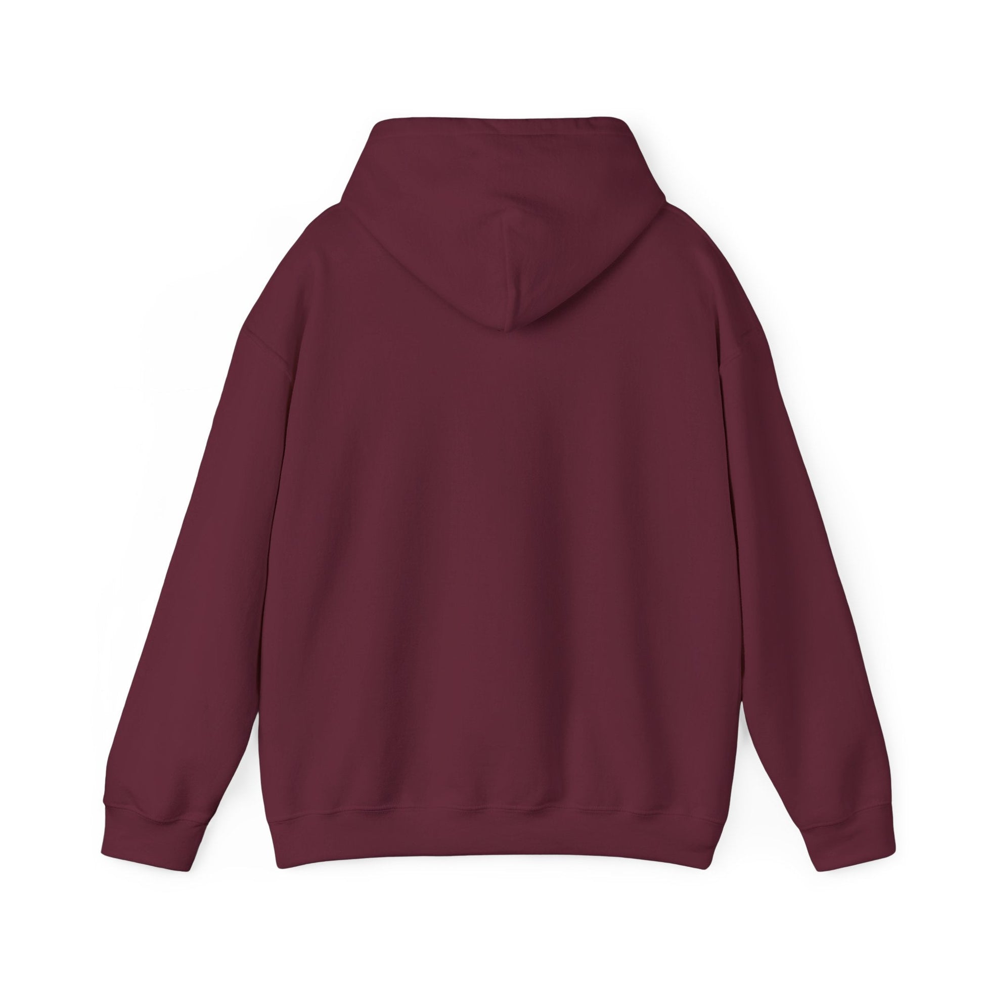 Plain Hoodie Printify