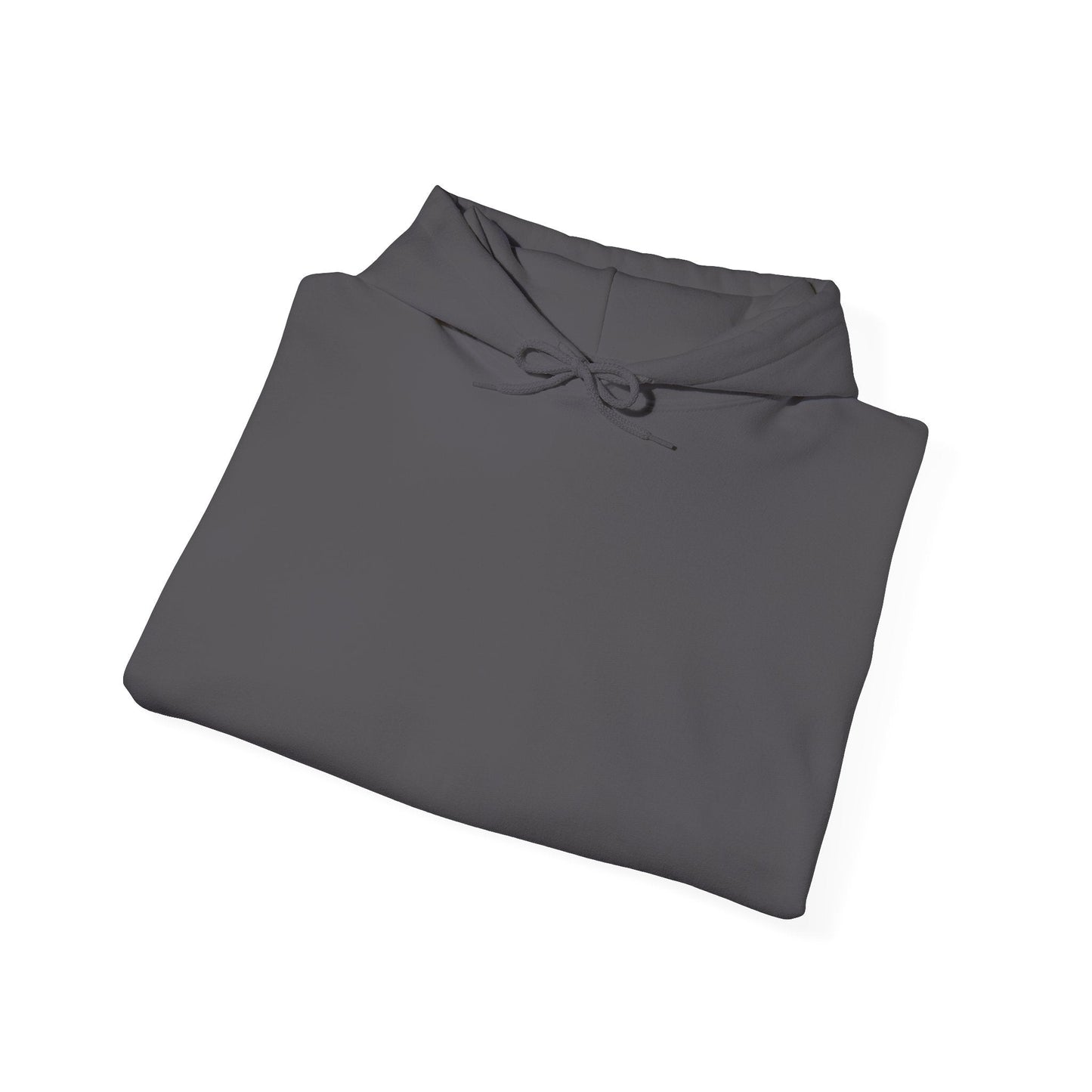 Plain Hoodie Printify