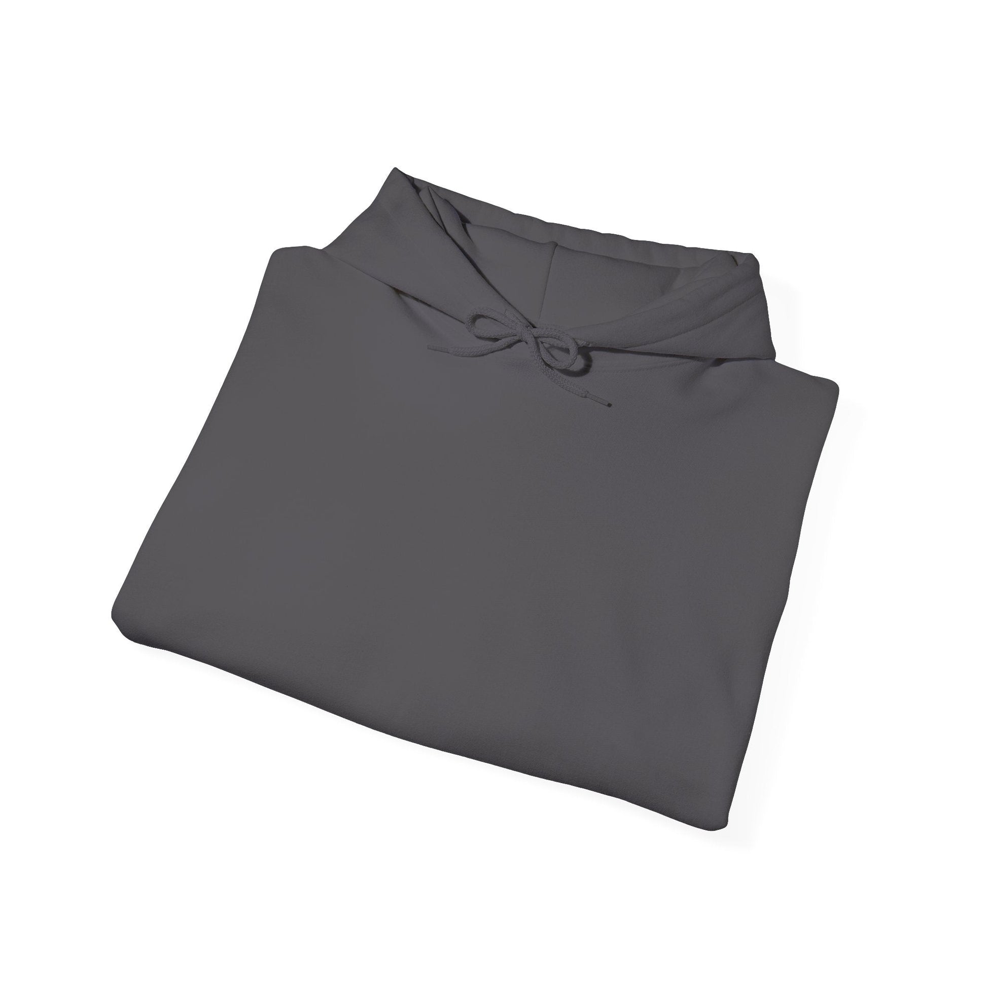 Plain Hoodie Printify