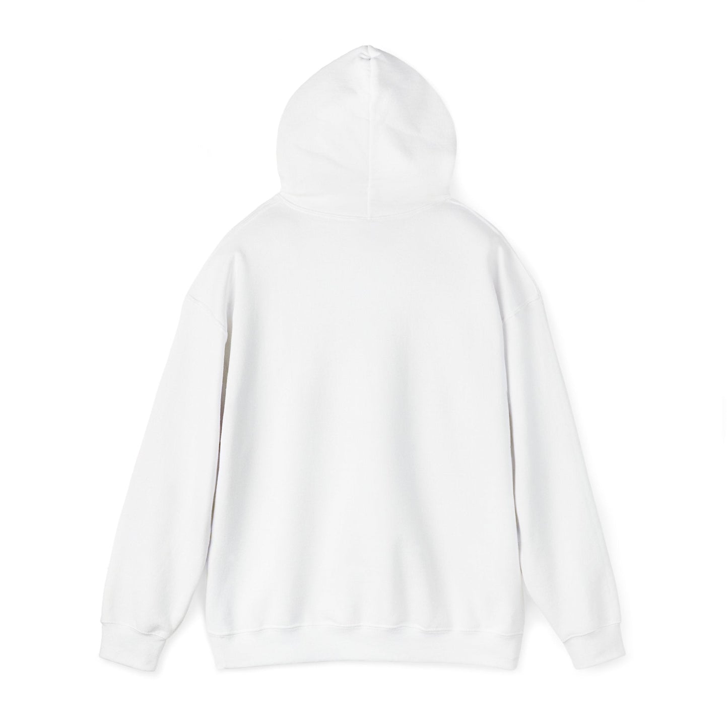 Plain Hoodie Printify