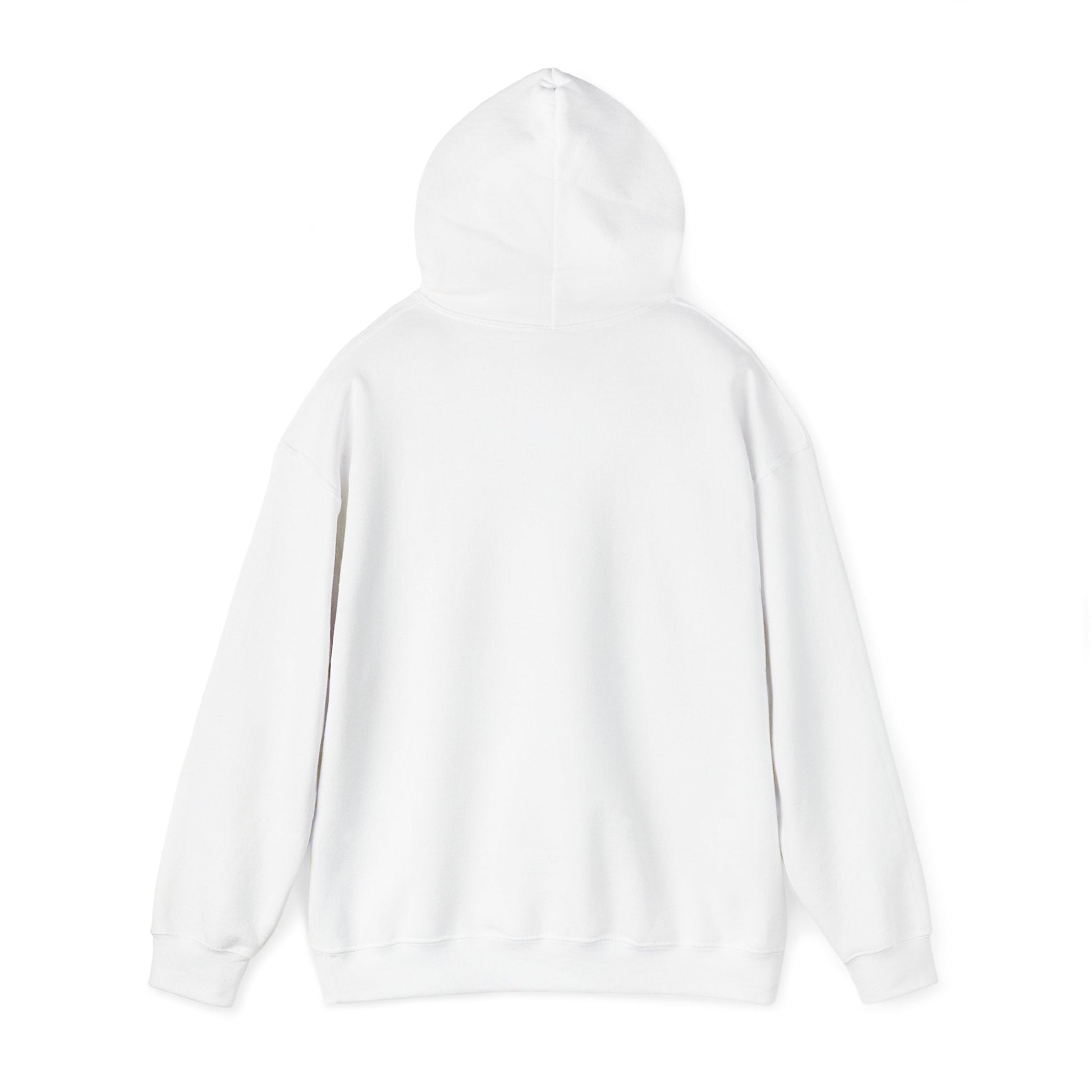 Plain Hoodie Printify
