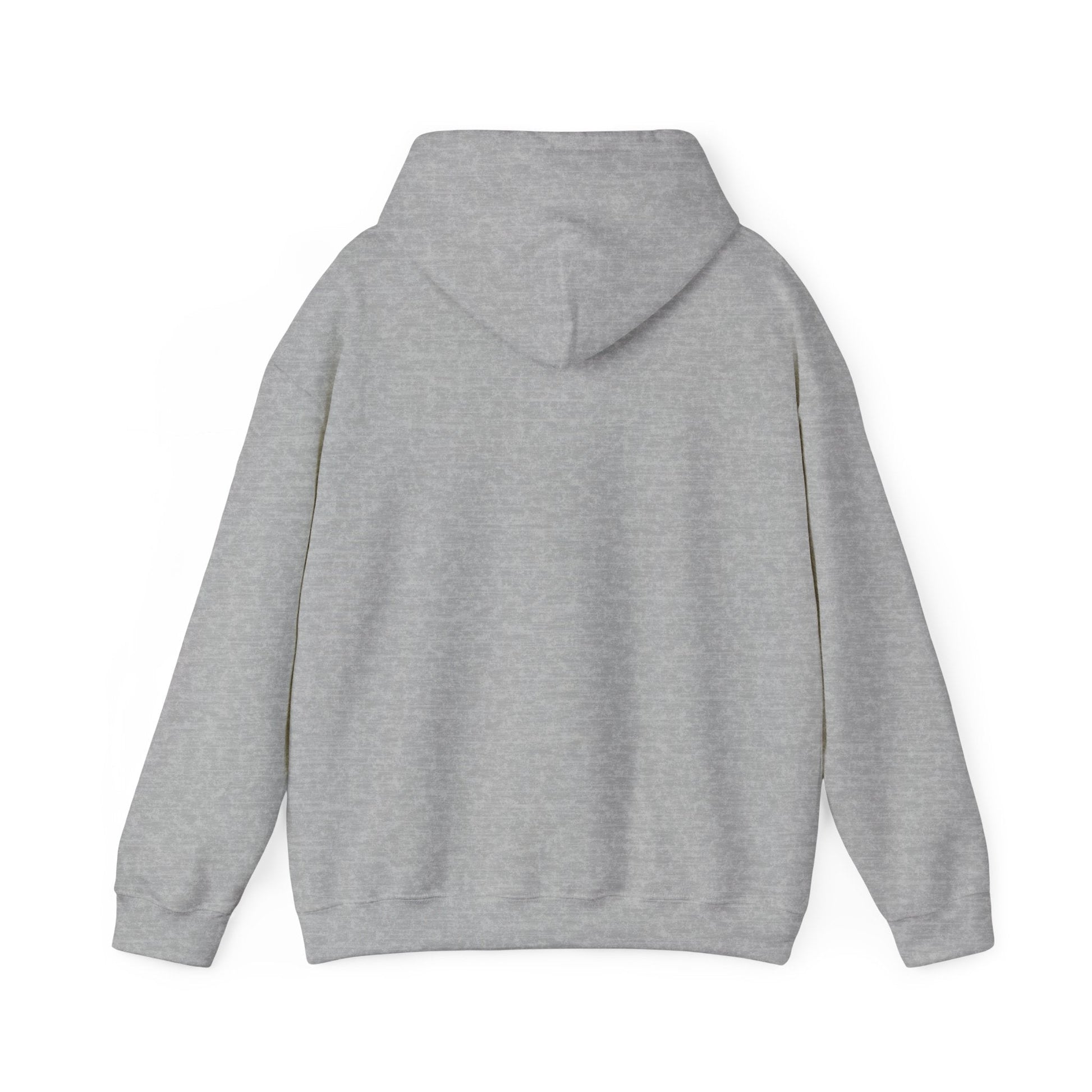 Plain Hoodie Printify
