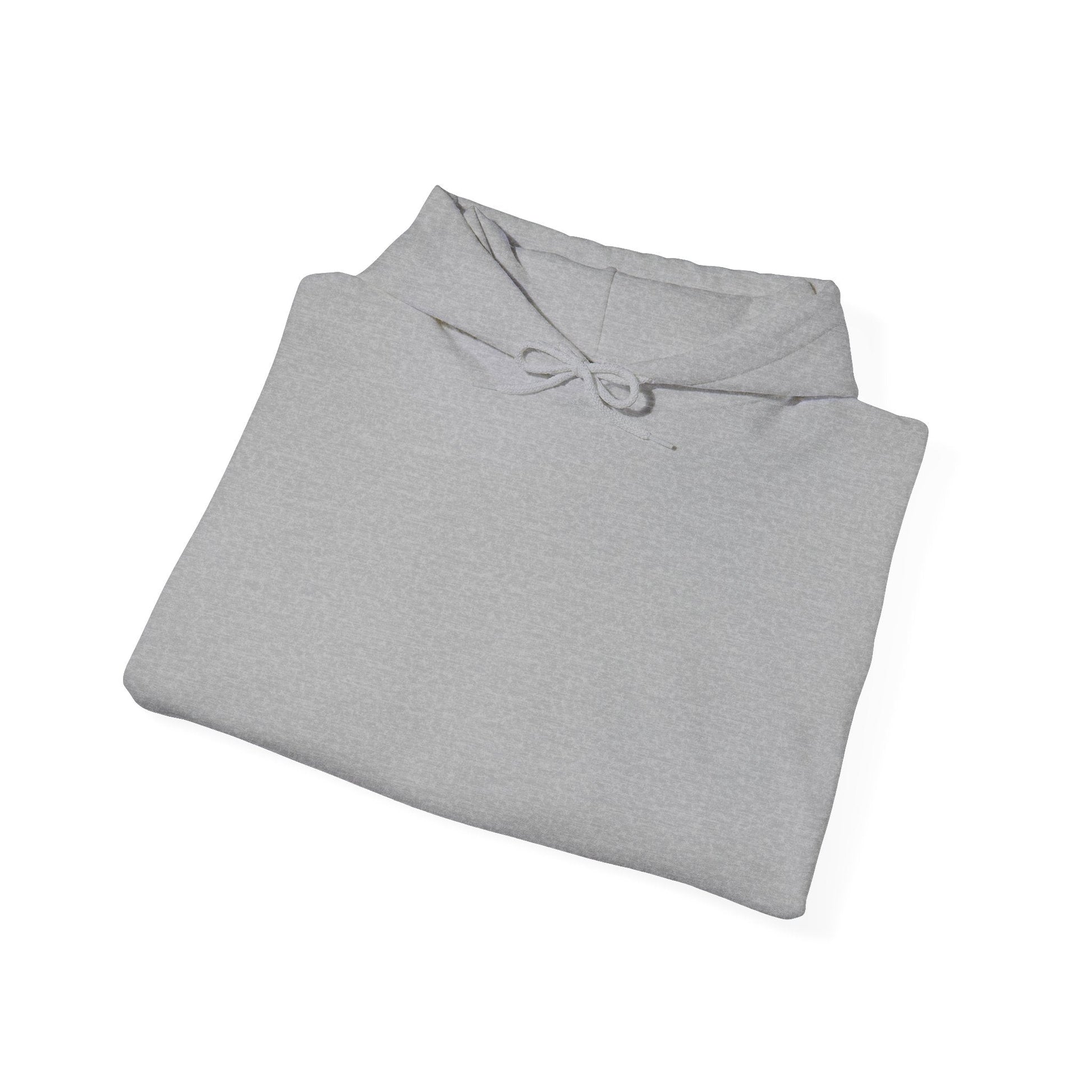 Plain Hoodie Printify